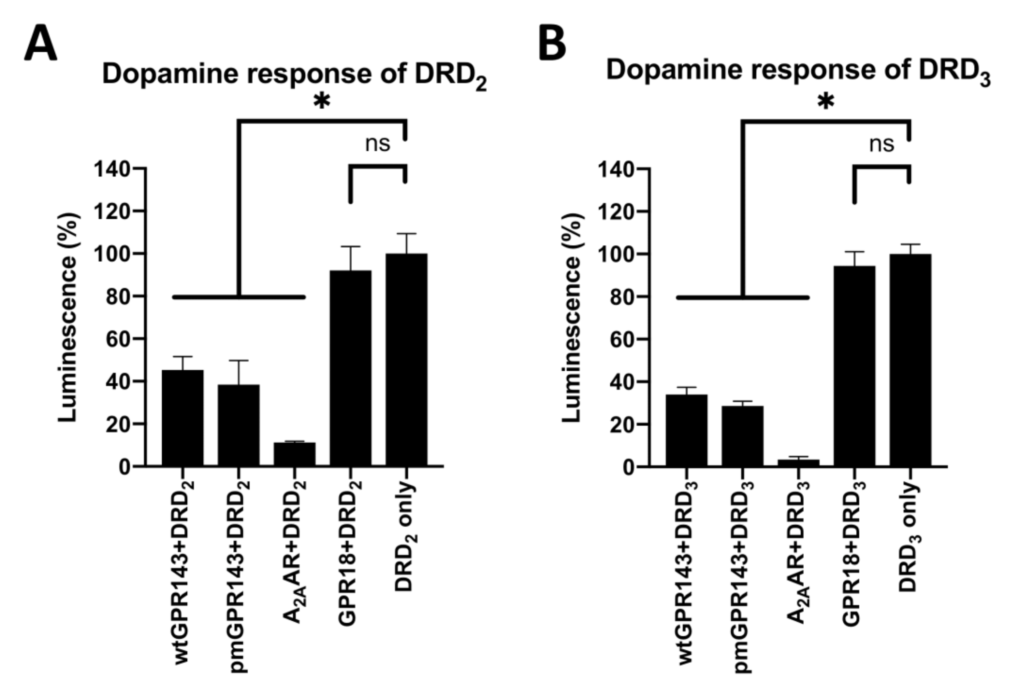 Ijms 22 08328 g004 Ijms 22 08328 g004