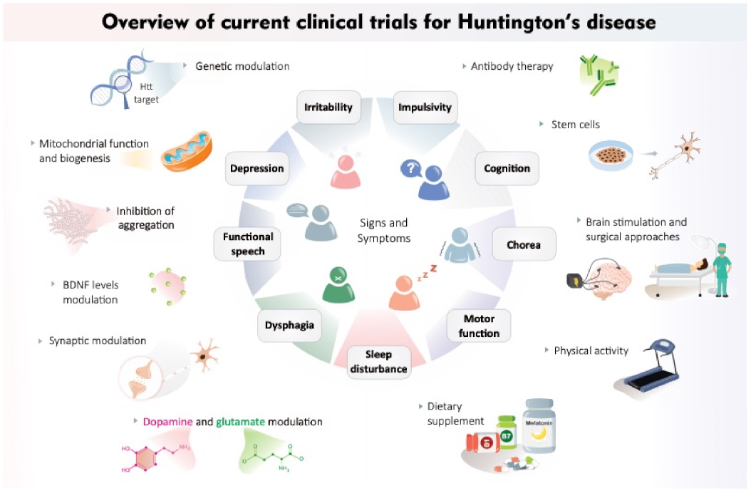 IJMS | Free Full-Text | New Avenues for the Treatment of Huntington's  Disease | HTML