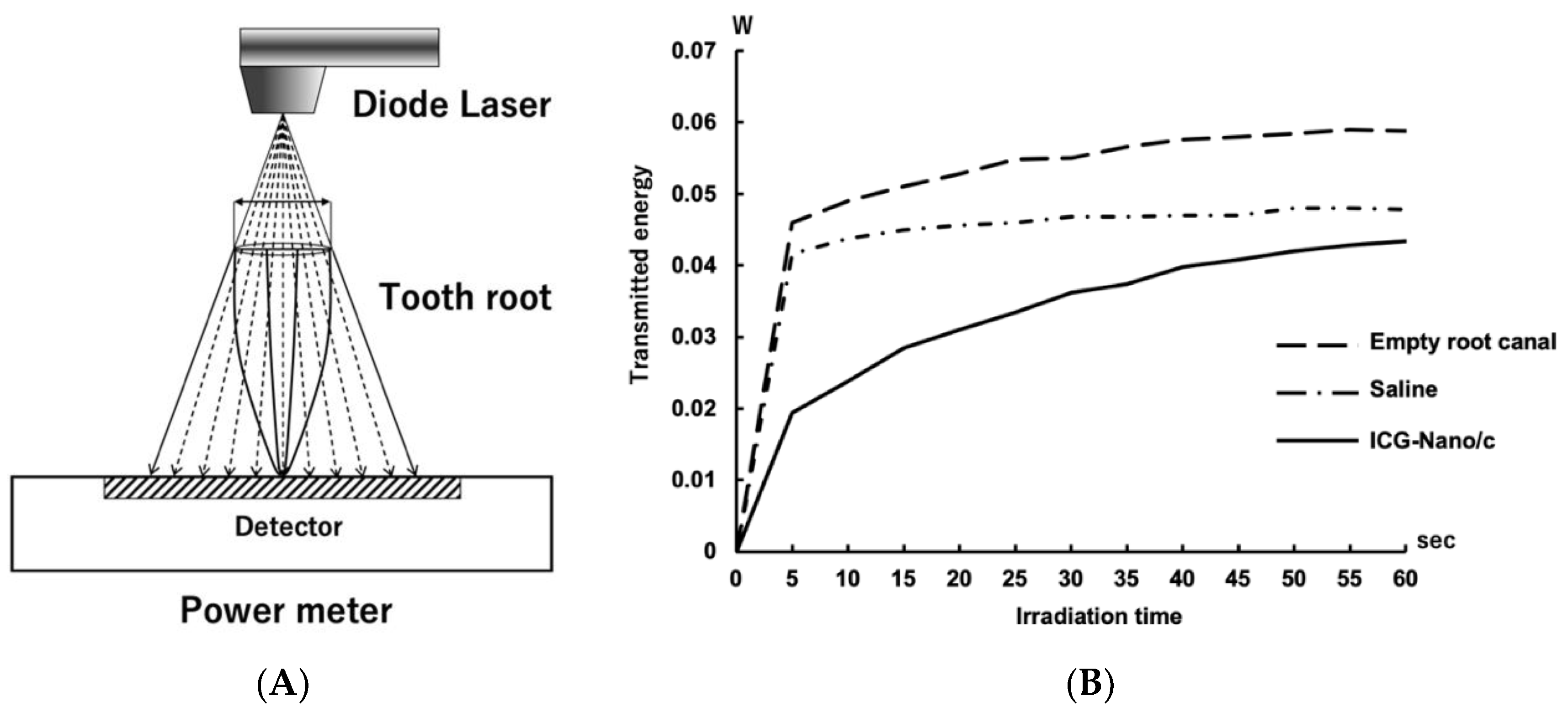 Ijms 22 08384 g006 Ijms 22 08384 g006