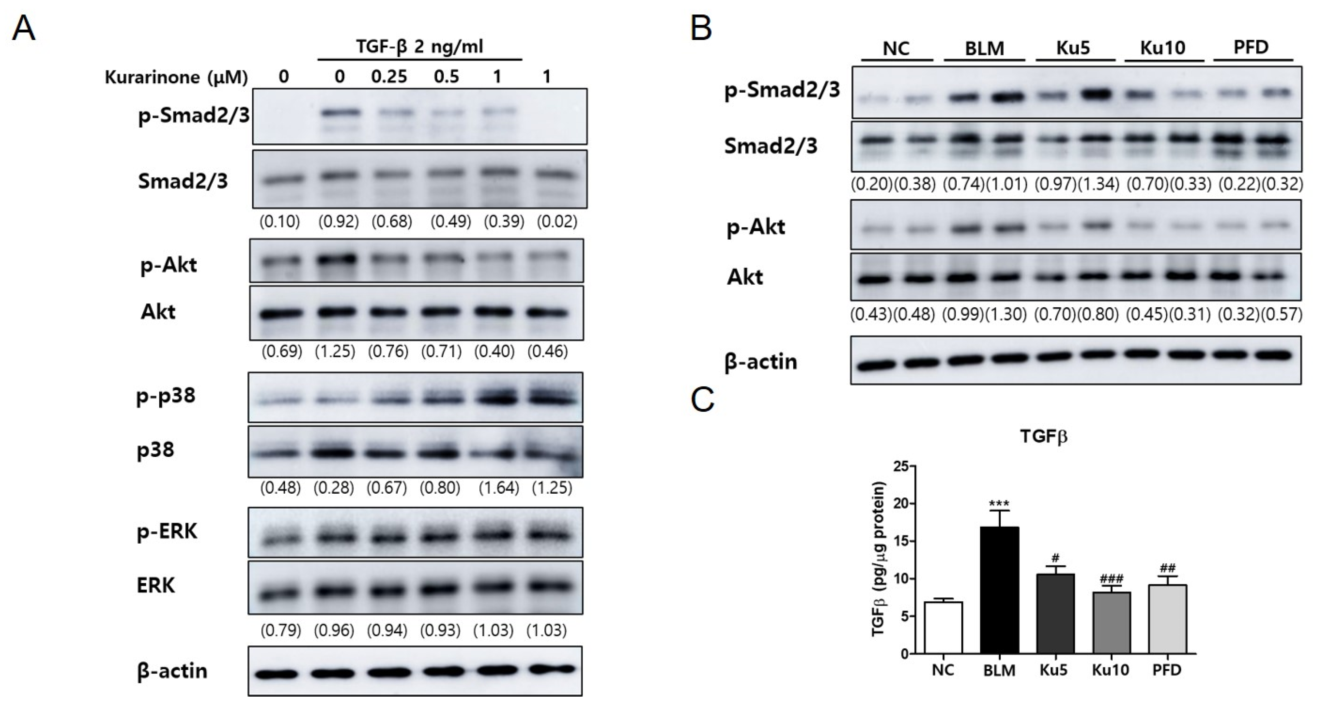 Ijms 22 08388 g004