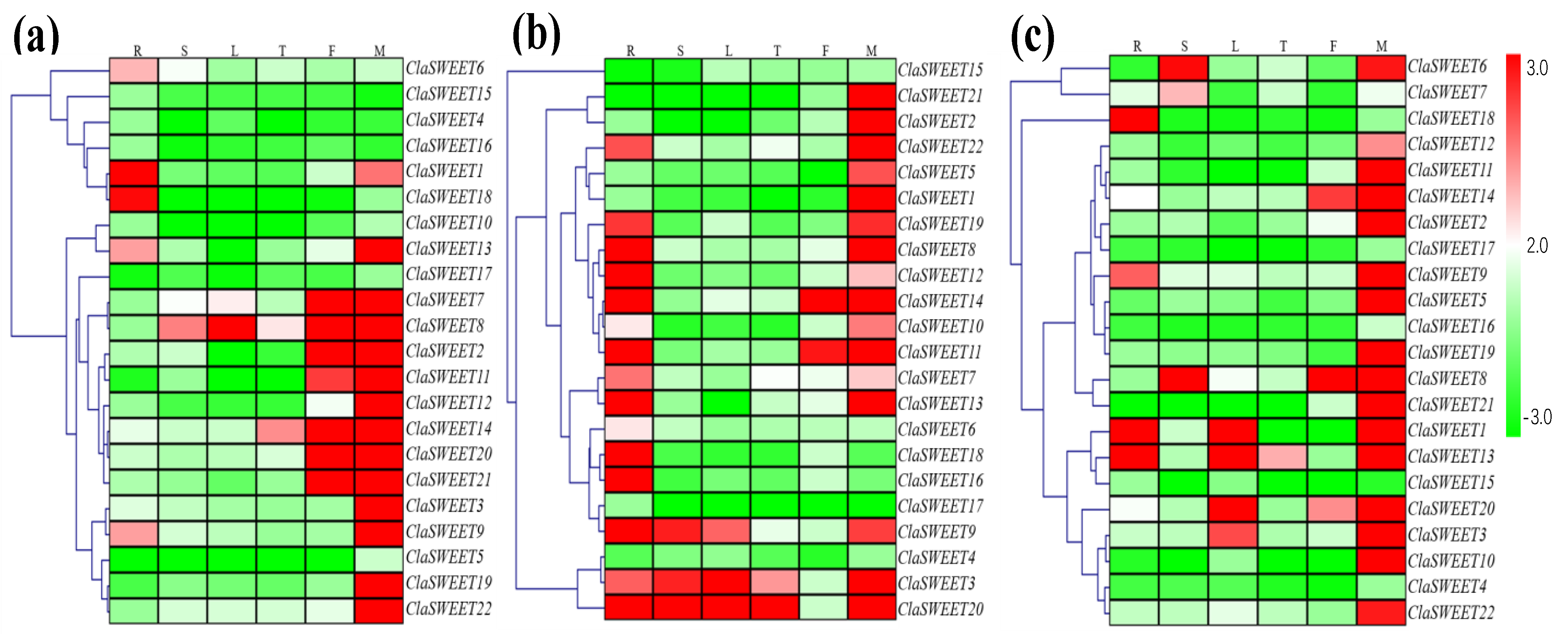 IJMS | Free Full-Text | Systematic Genome-Wide Study and Expression ...