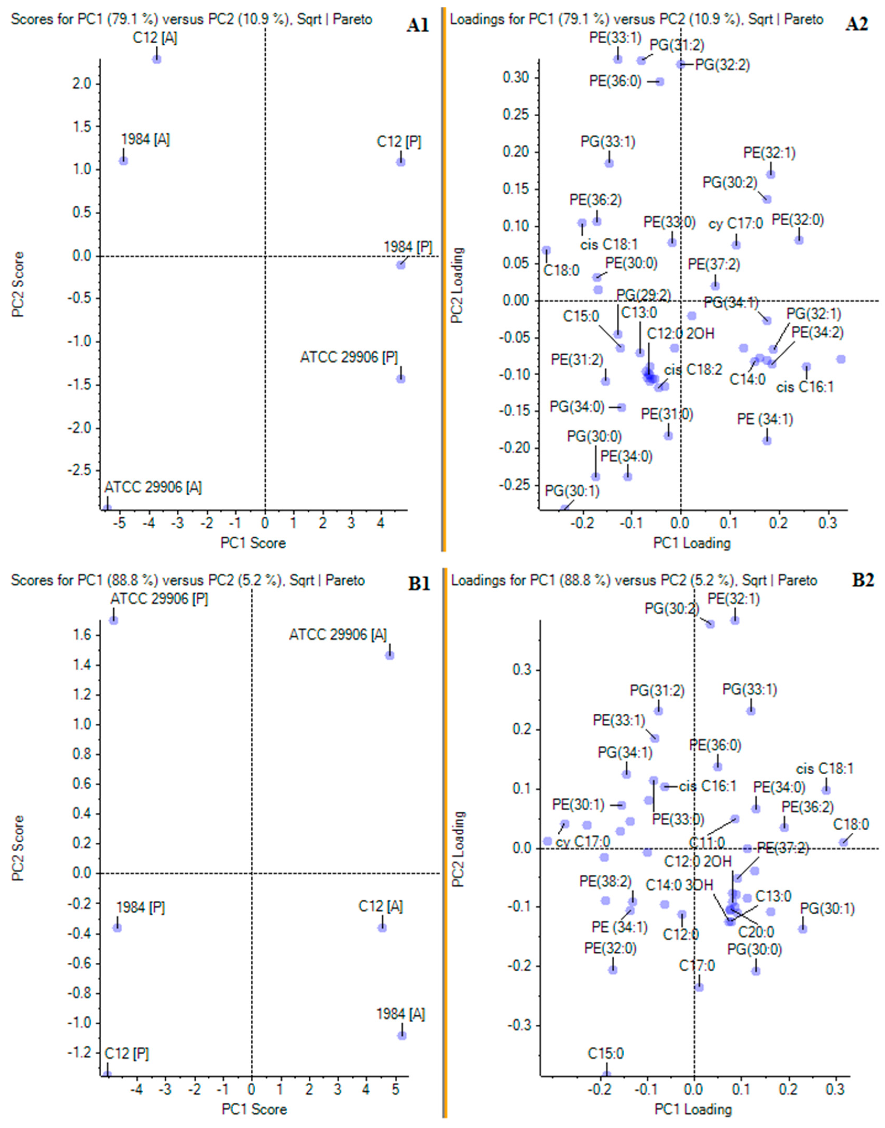 Ijms 22 08452 g004 Ijms 22 08452 g004