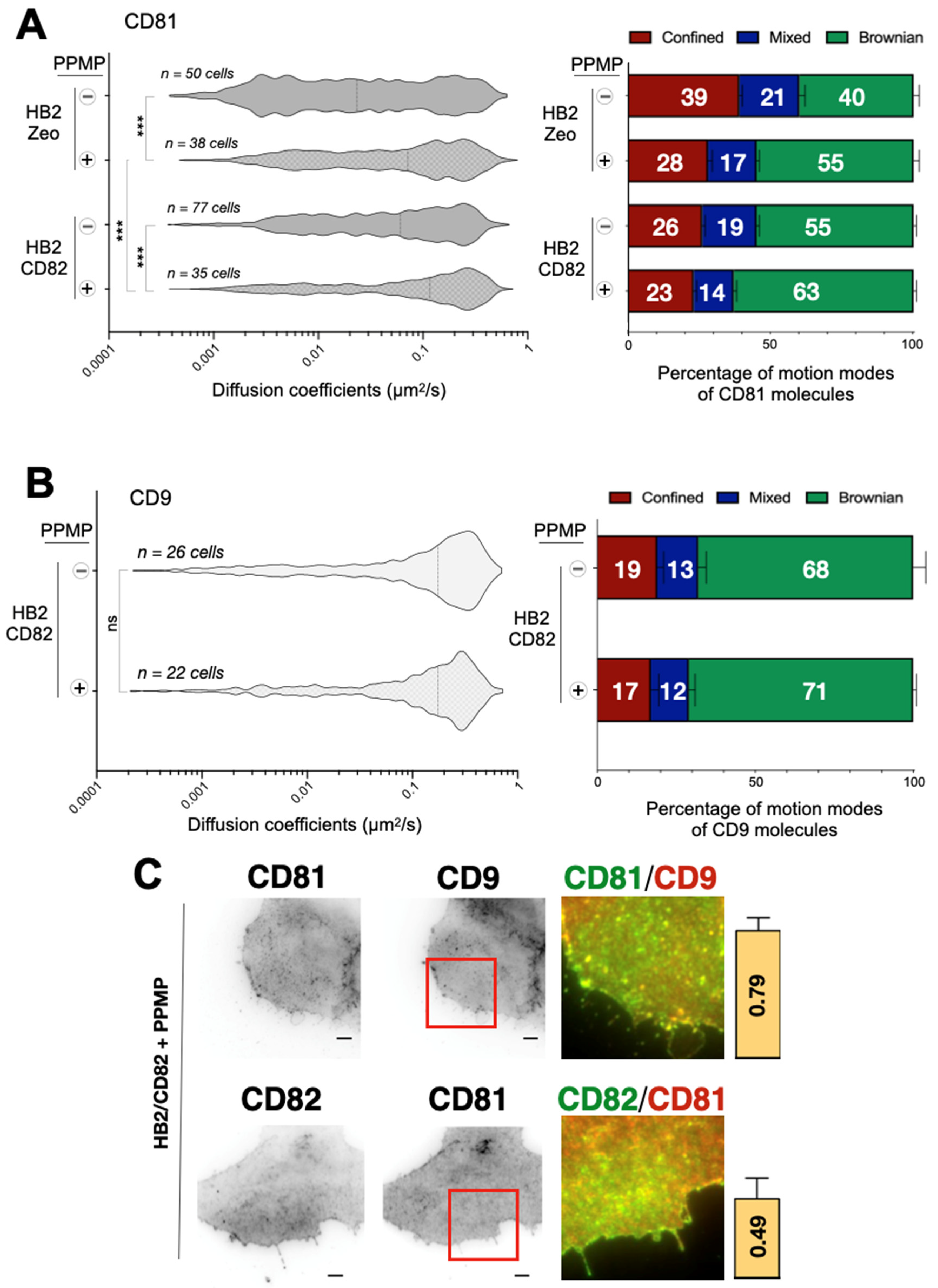Ijms 22 08459 g005 Ijms 22 08459 g005