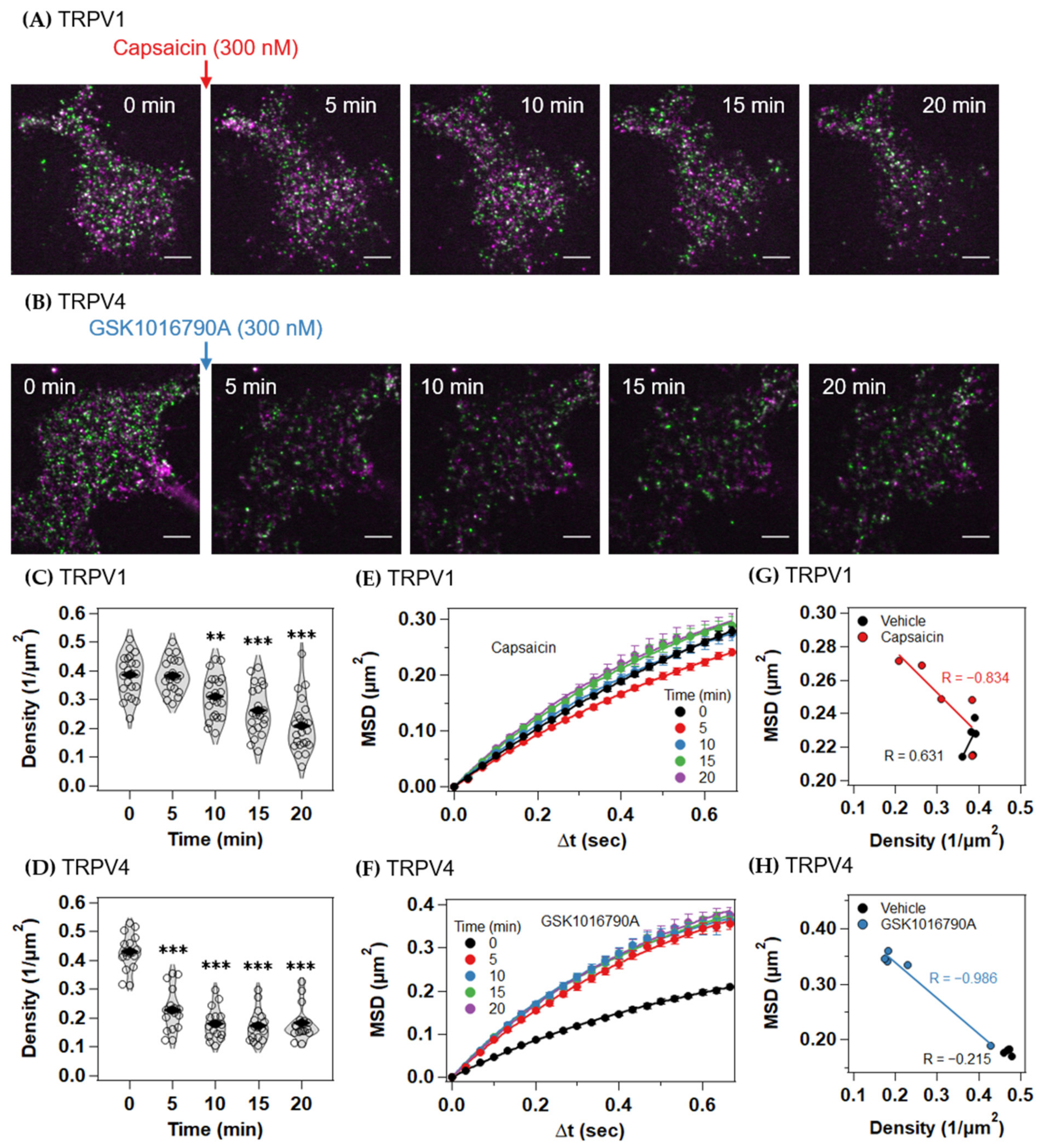Ijms 22 08473 g002 Ijms 22 08473 g002