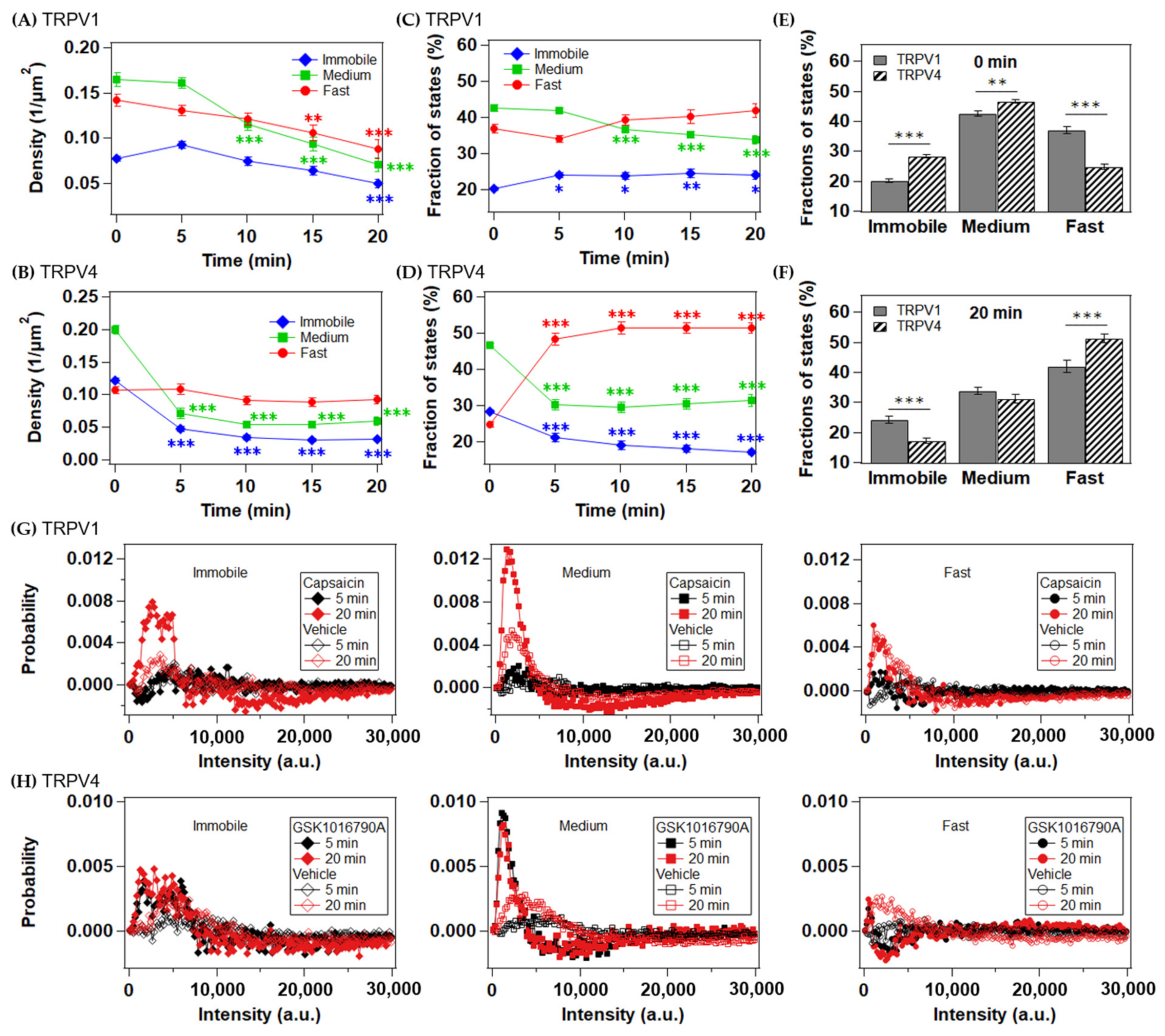 Ijms 22 08473 g004 Ijms 22 08473 g004