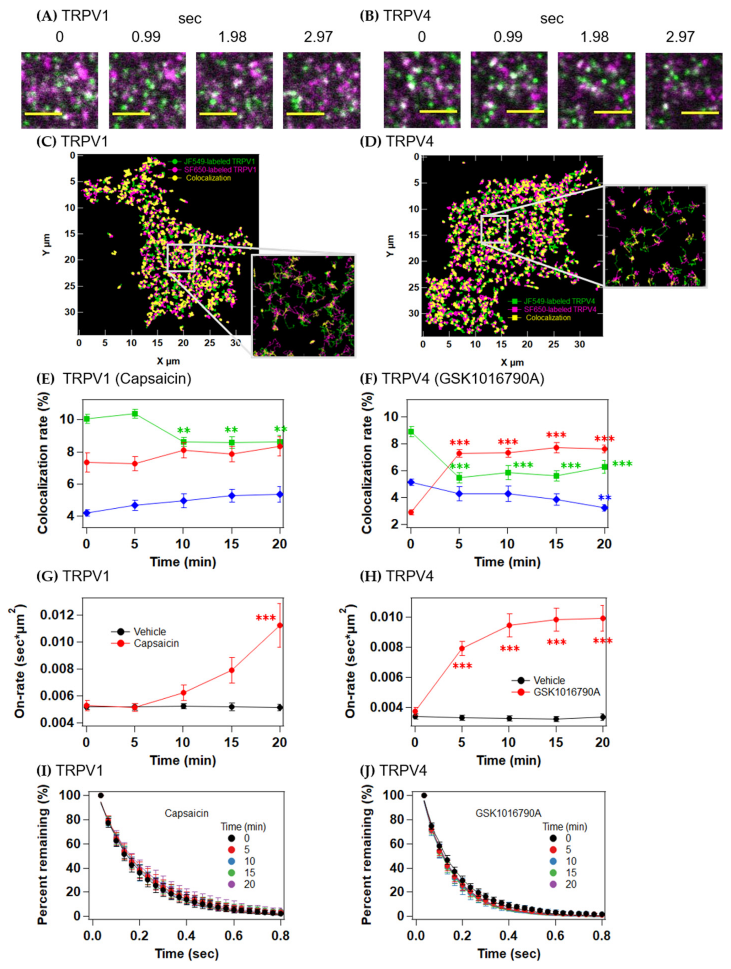 Ijms 22 08473 g005 Ijms 22 08473 g005