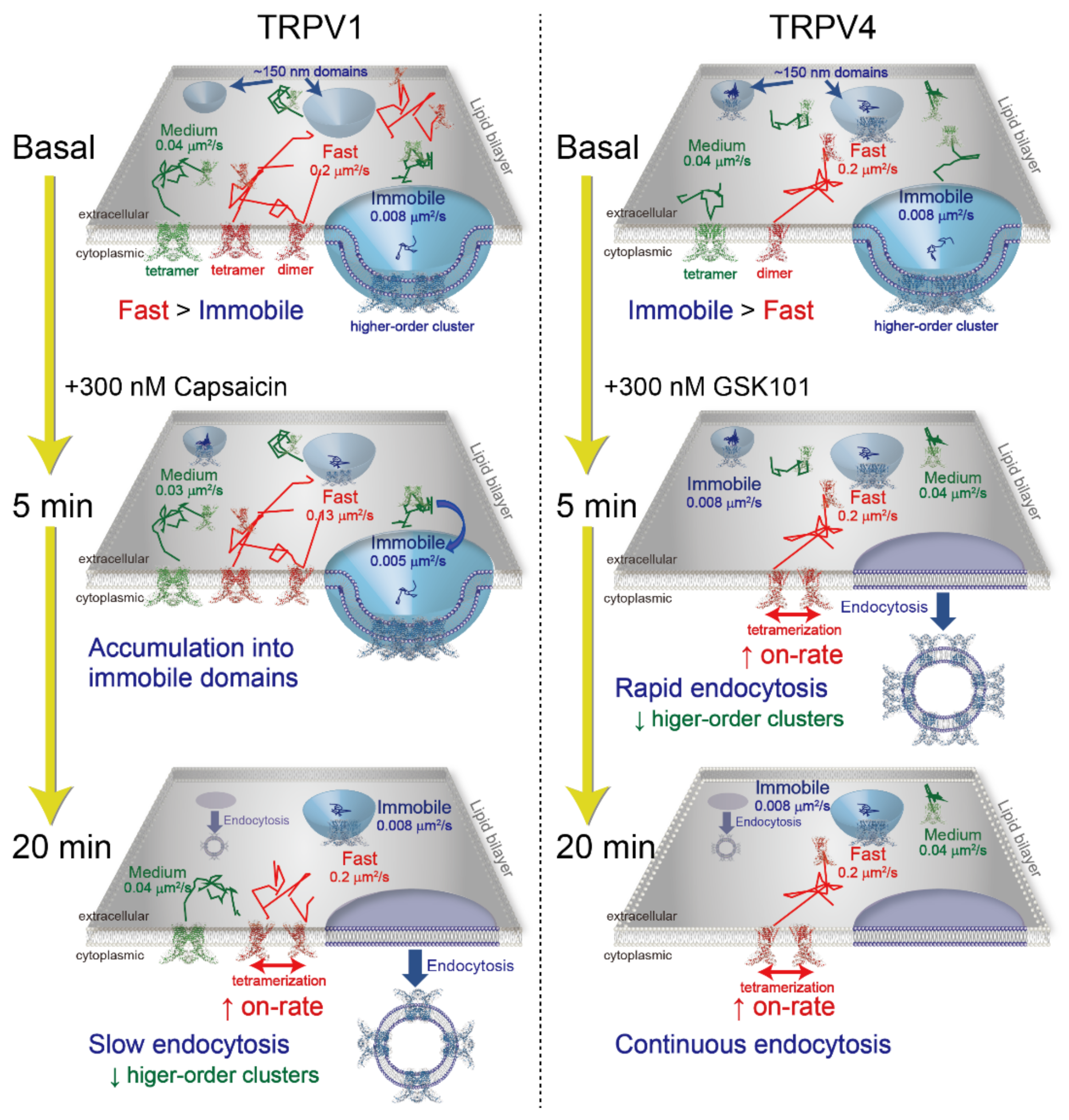 Ijms 22 08473 g006 Ijms 22 08473 g006