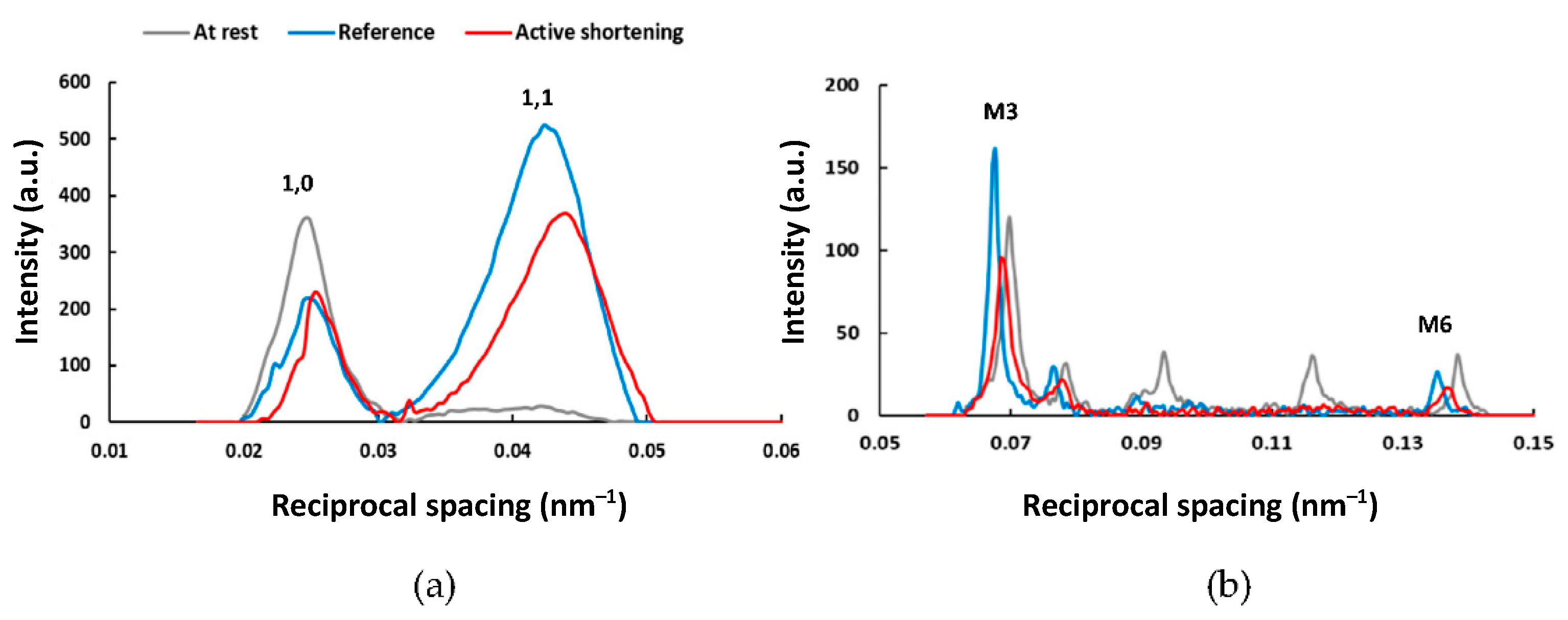 Ijms 22 08526 g003 Ijms 22 08526 g003