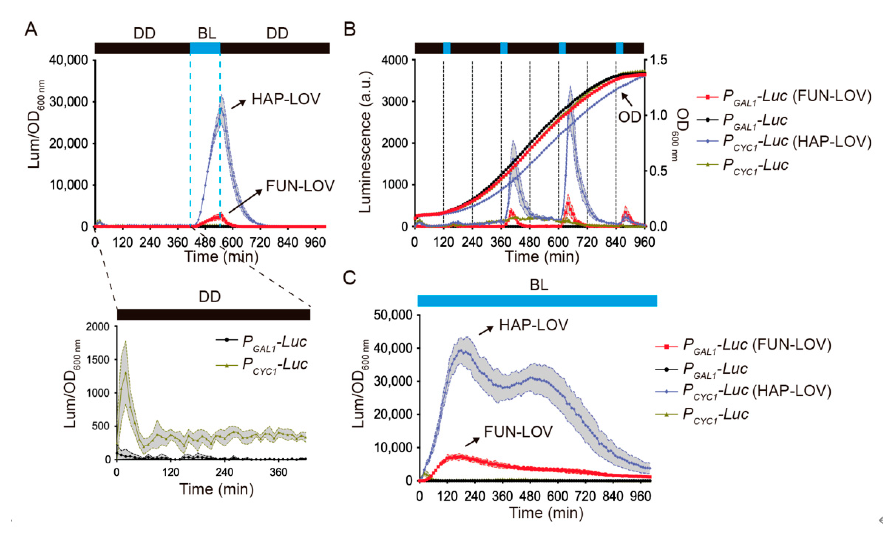Ijms 22 08538 g003 Ijms 22 08538 g003