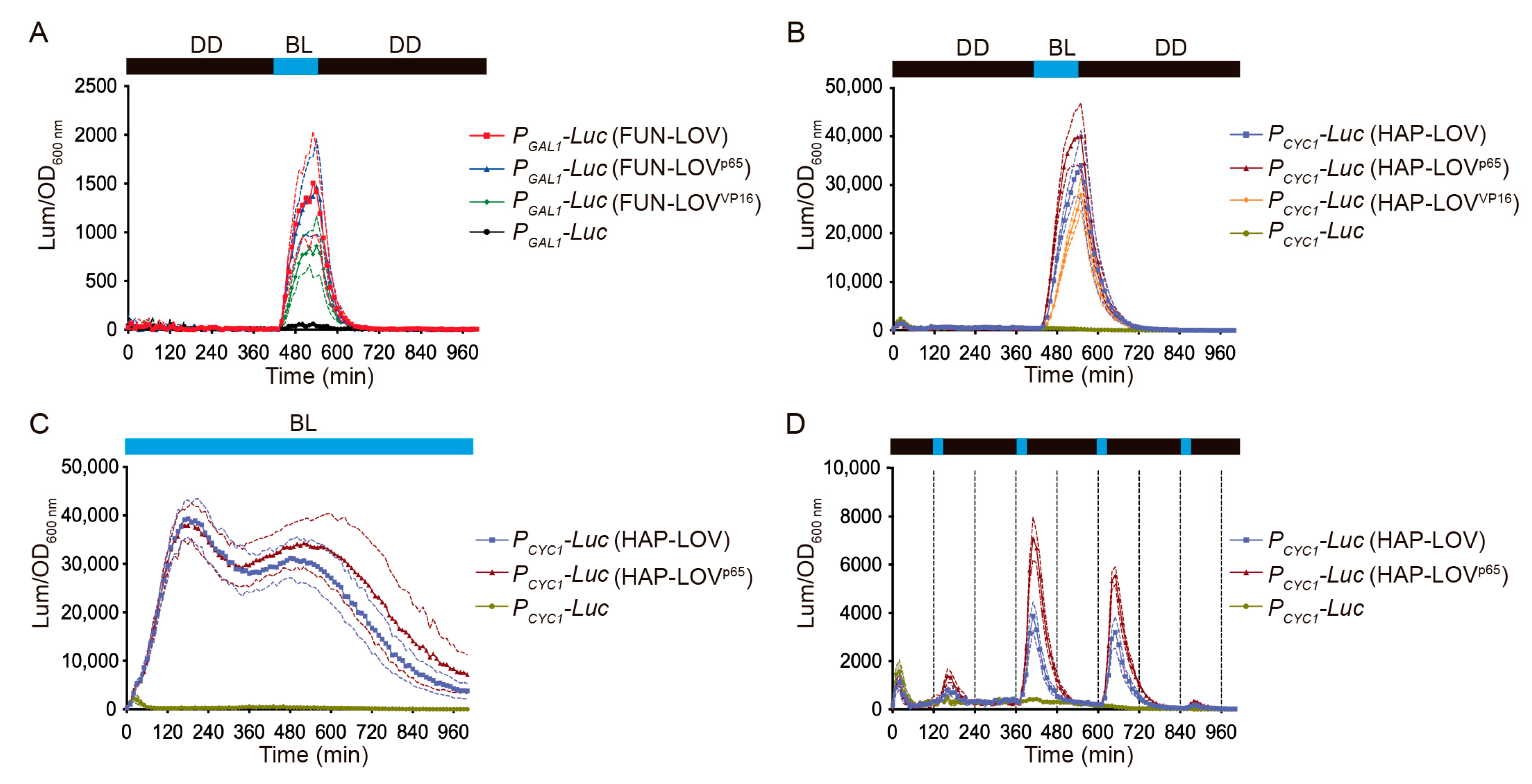 Ijms 22 08538 g004 Ijms 22 08538 g004