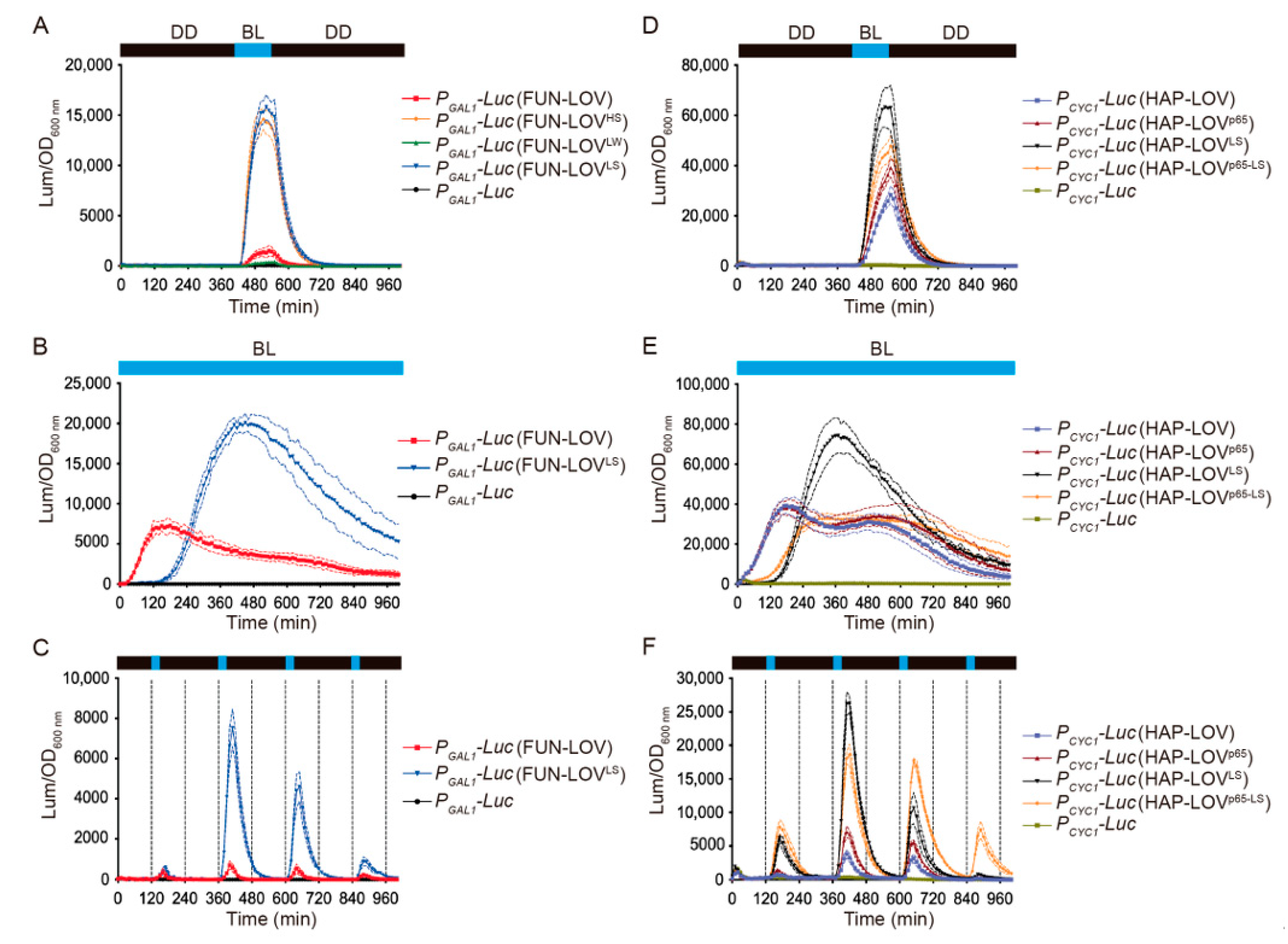 Ijms 22 08538 g005 Ijms 22 08538 g005