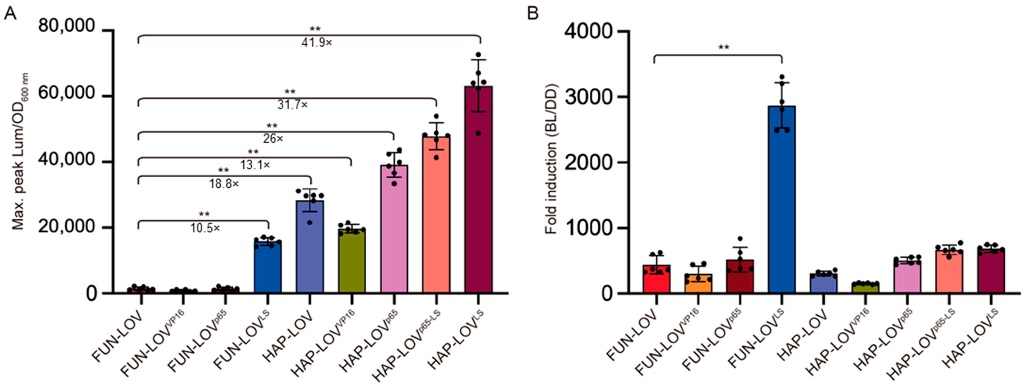 Ijms 22 08538 g006 Ijms 22 08538 g006