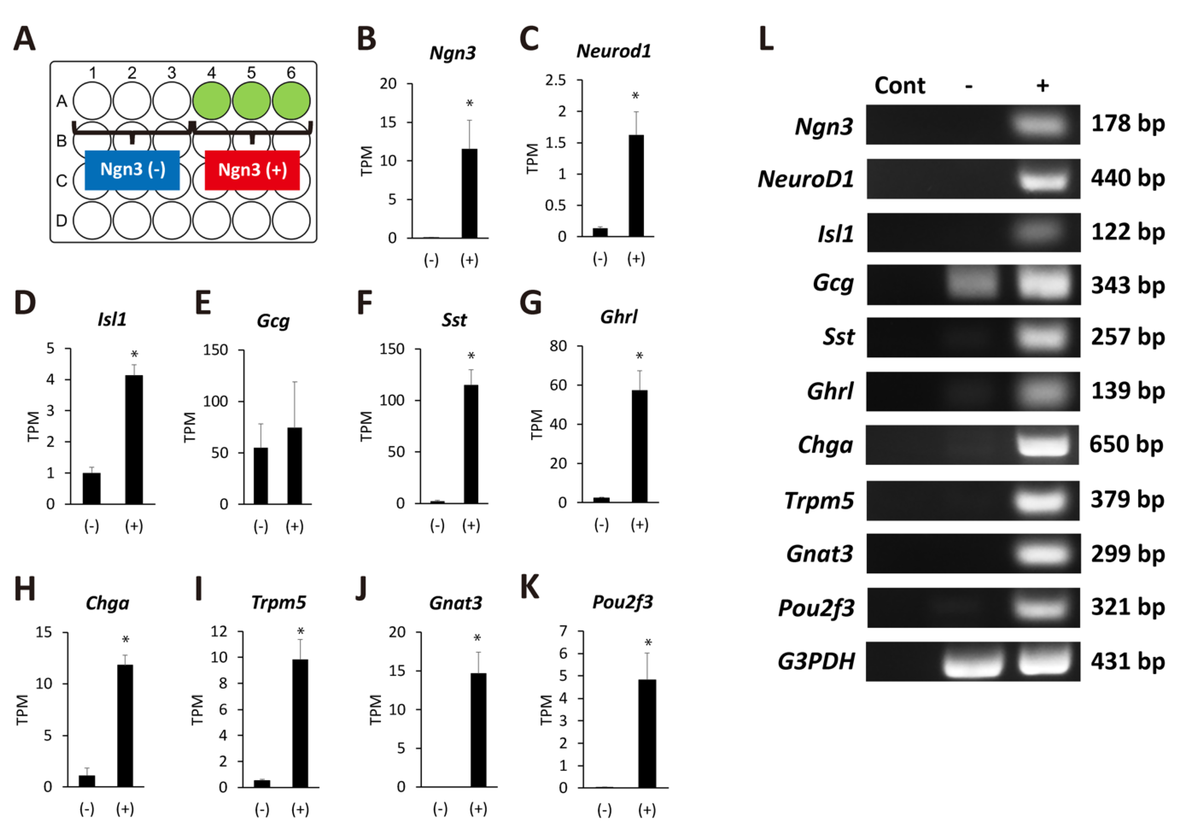 Ijms 22 08548 g004 Ijms 22 08548 g004
