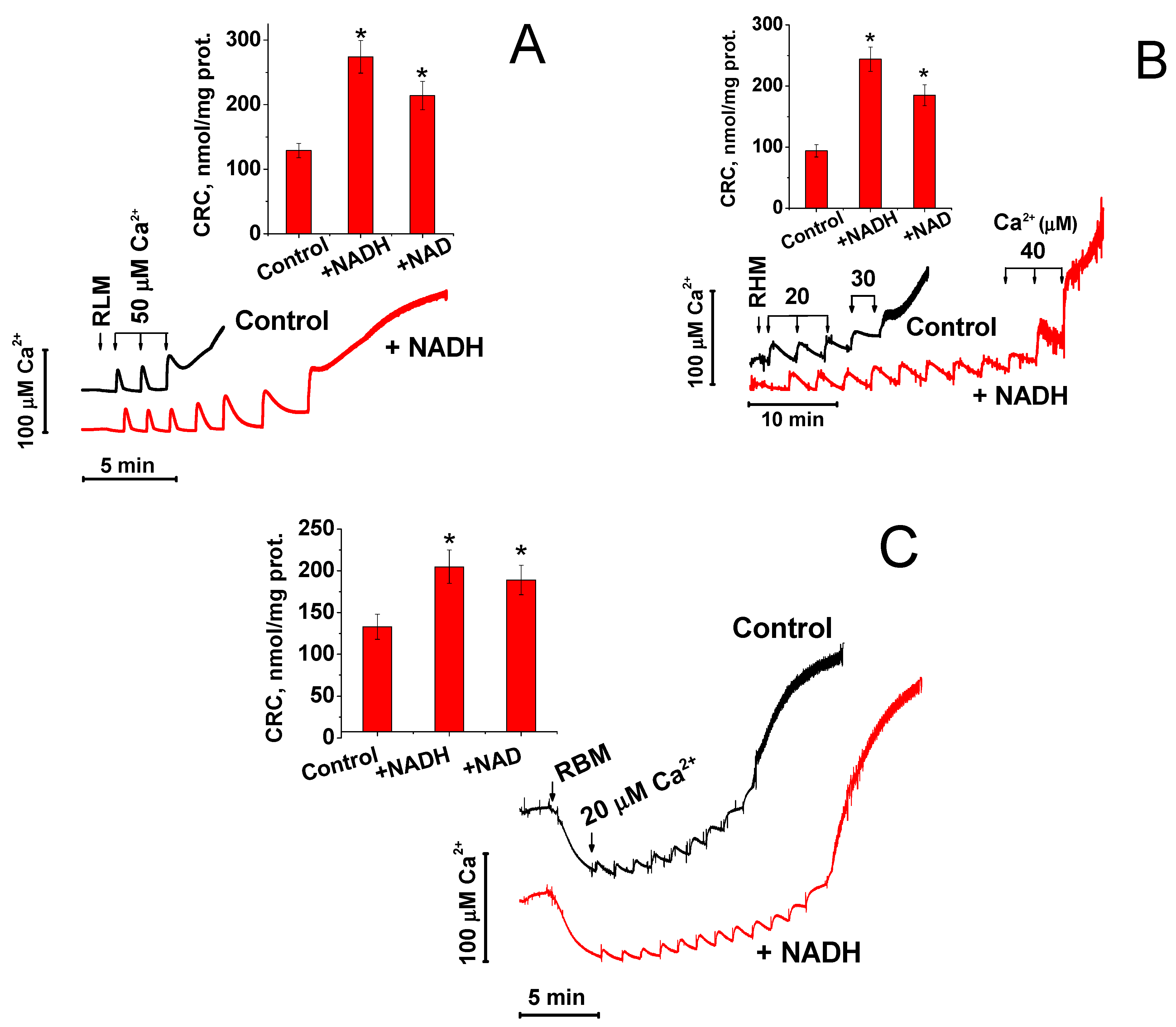 Ijms 22 08560 g001 Ijms 22 08560 g001