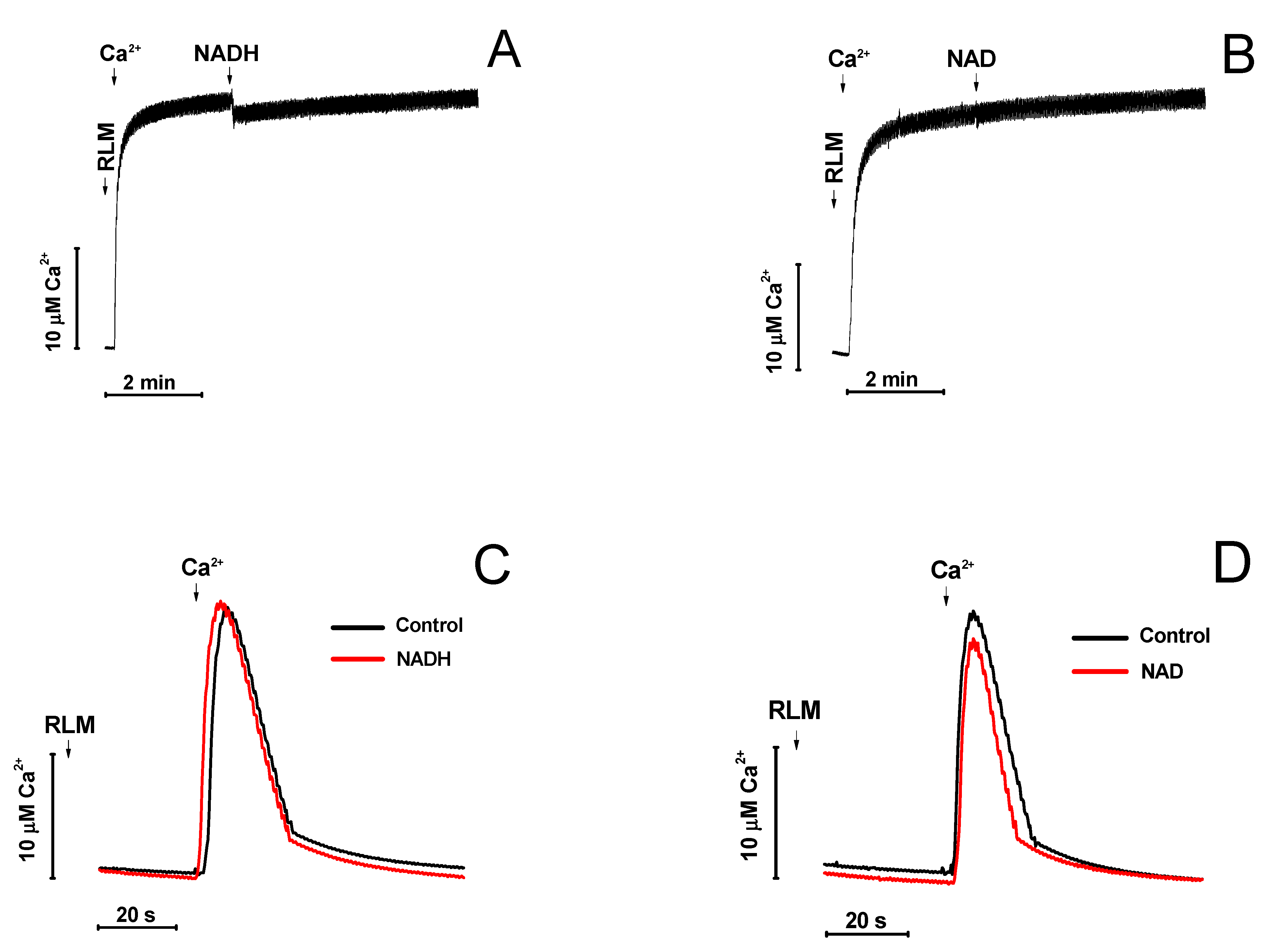 Ijms 22 08560 g002 Ijms 22 08560 g002