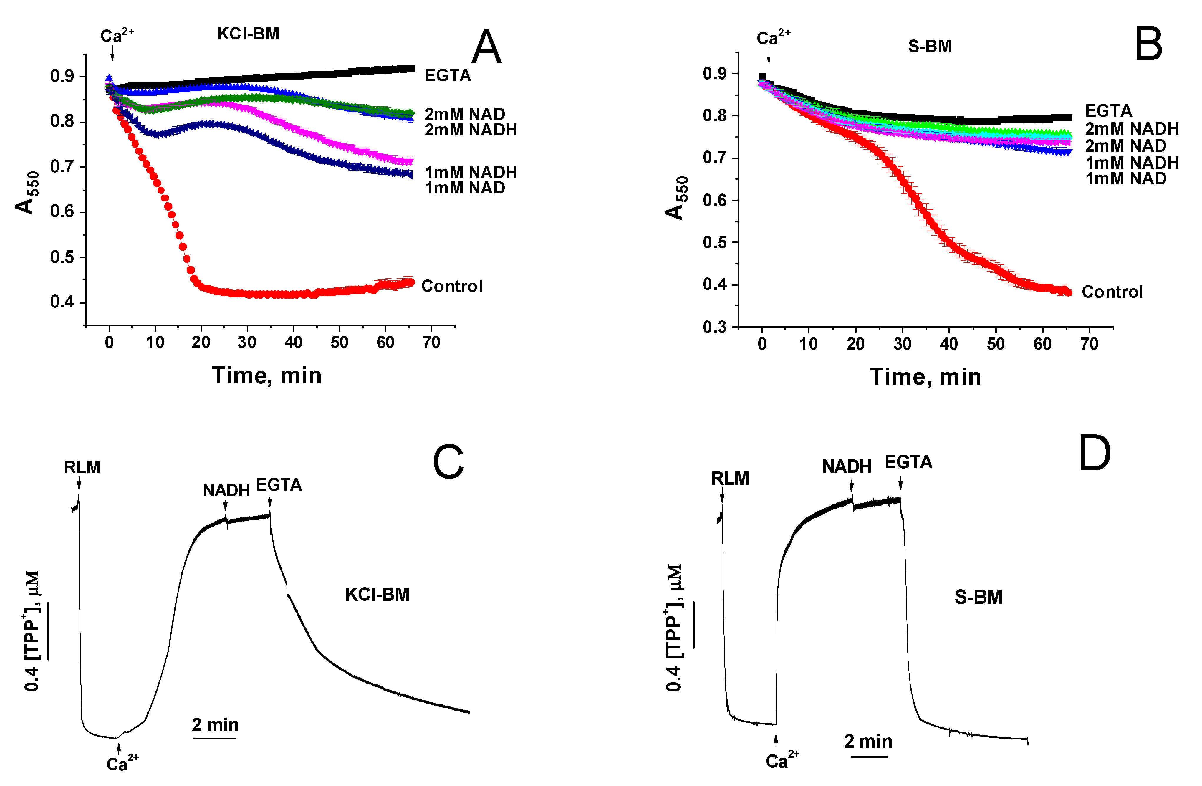 Ijms 22 08560 g004 Ijms 22 08560 g004