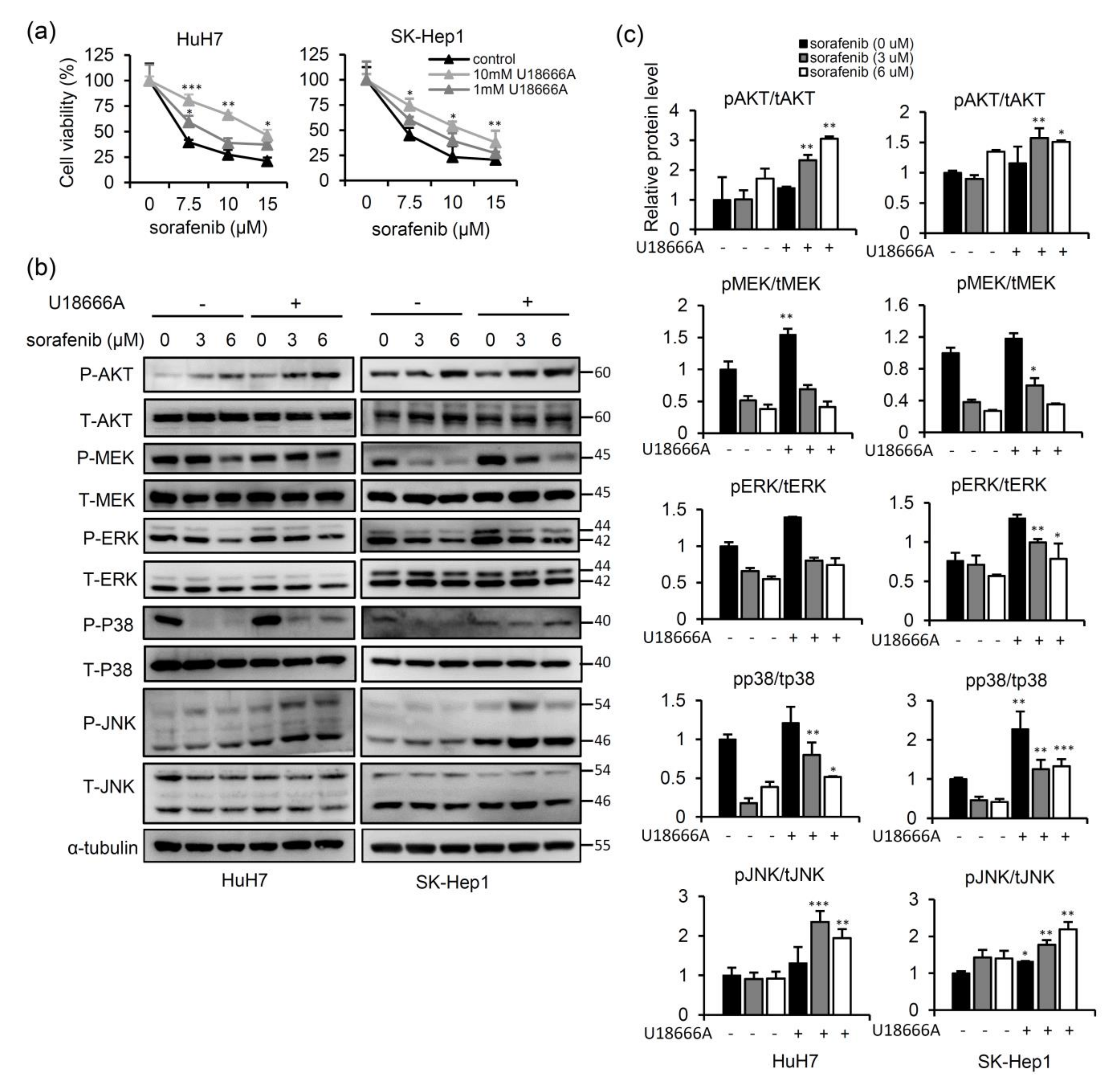 Ijms Free Full Text Secretory Npc2 Protein Mediated Free Cholesterol Levels Were Correlated With The Sorafenib Response In Hepatocellular Carcinoma Html