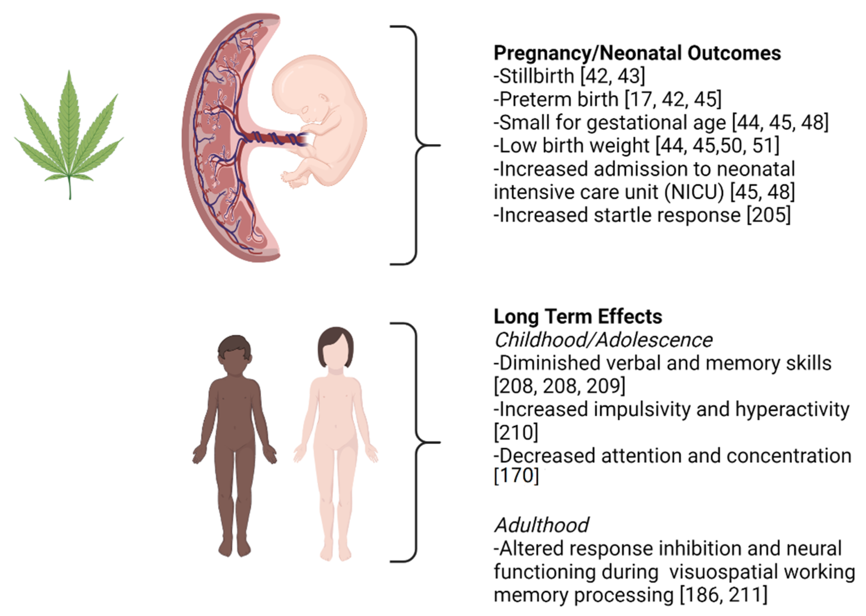 Risks of Cannabis Use During Pregnancy: Findings from a Large