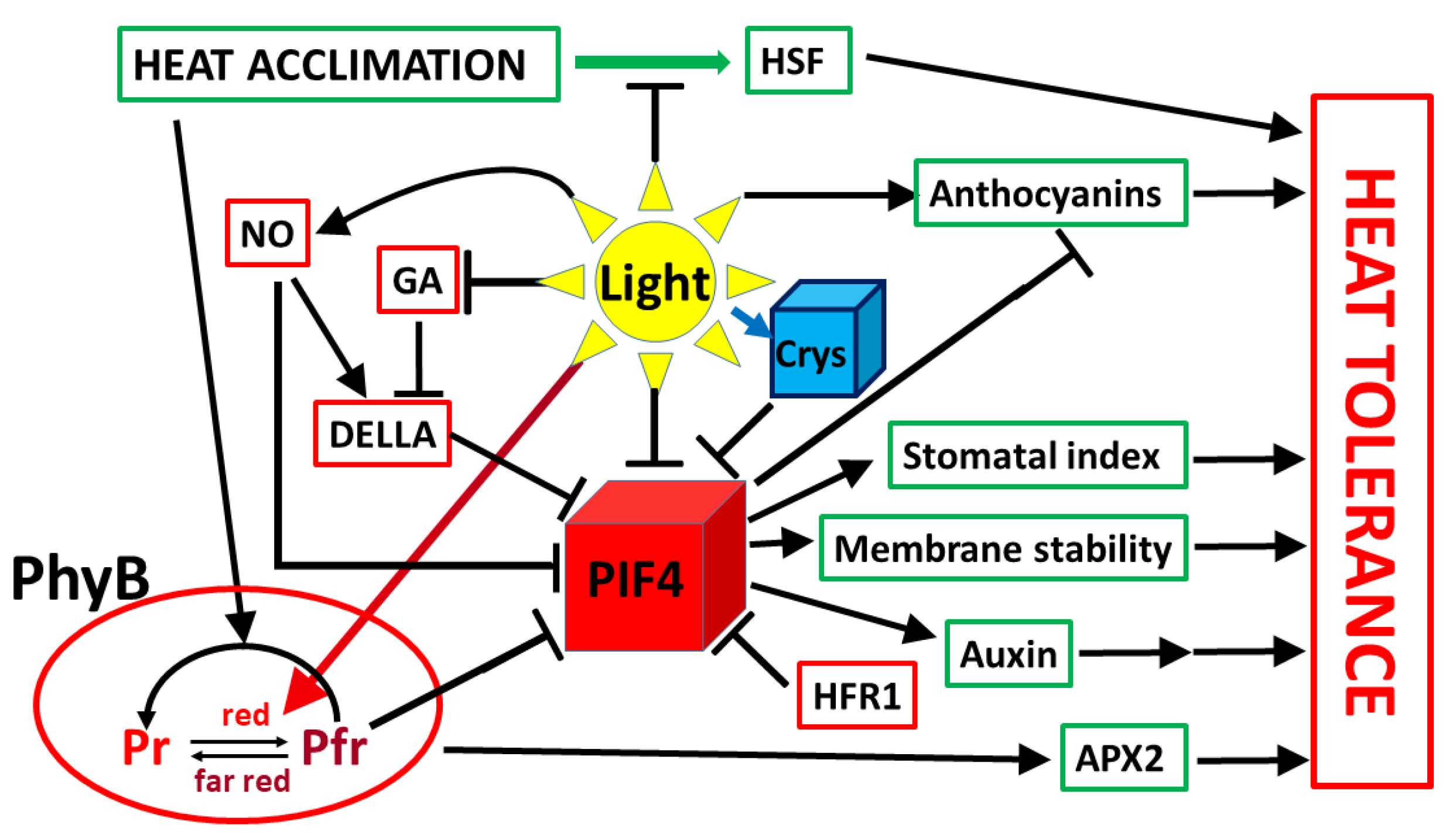 Ijms 22 08602 g002 Ijms 22 08602 g002