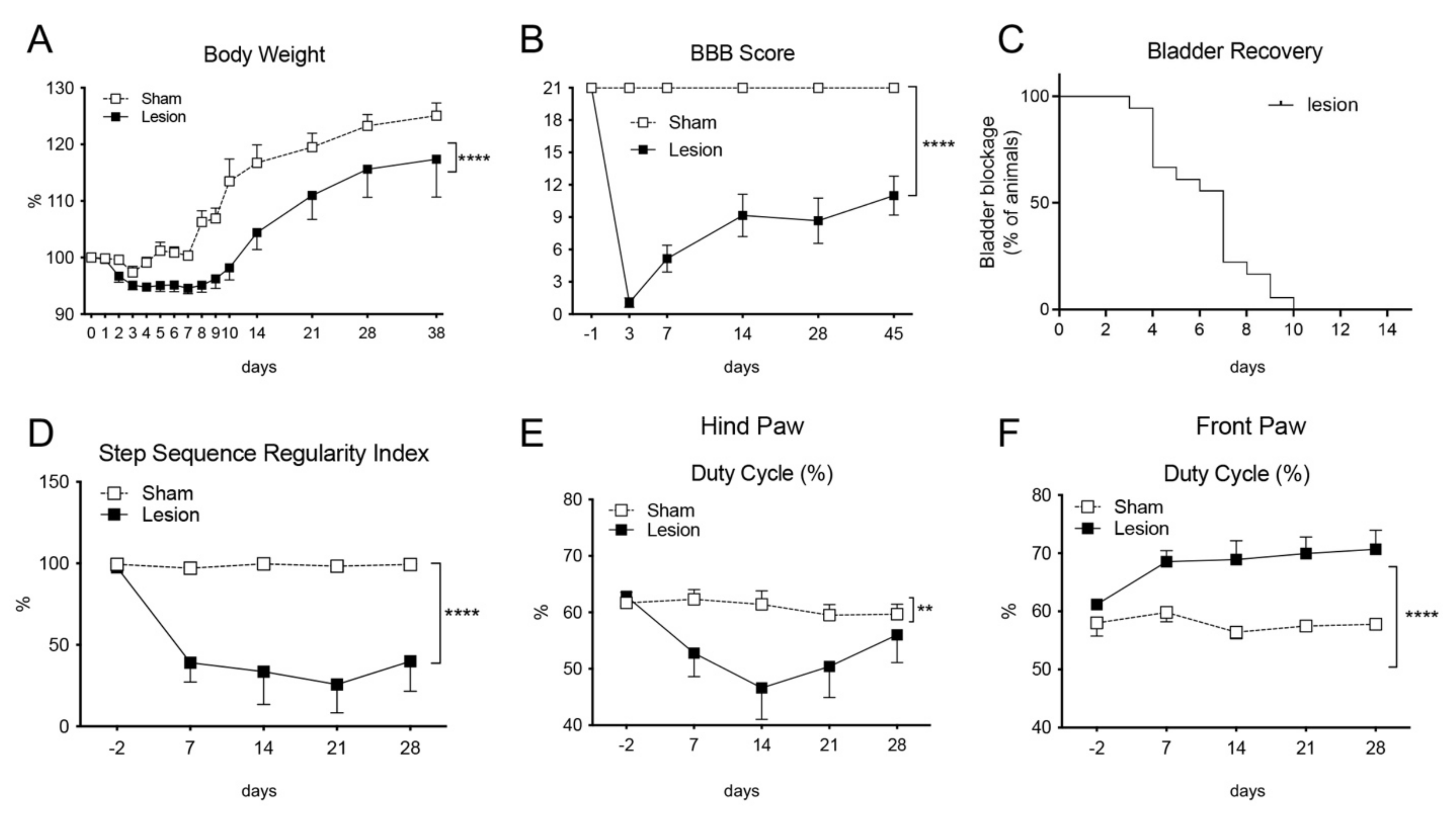 Ijms 22 08606 g001 Ijms 22 08606 g001
