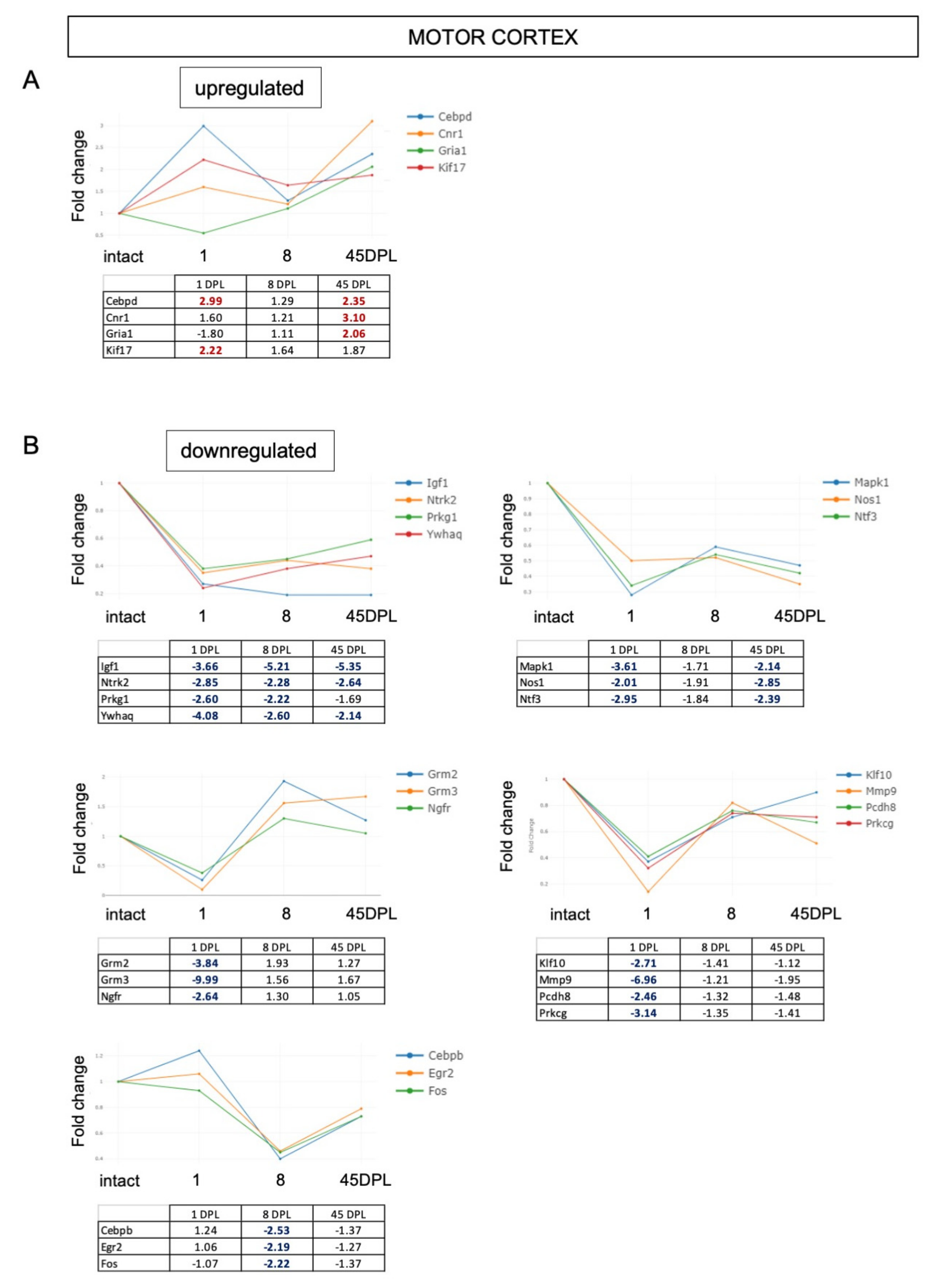 Ijms 22 08606 g004 Ijms 22 08606 g004