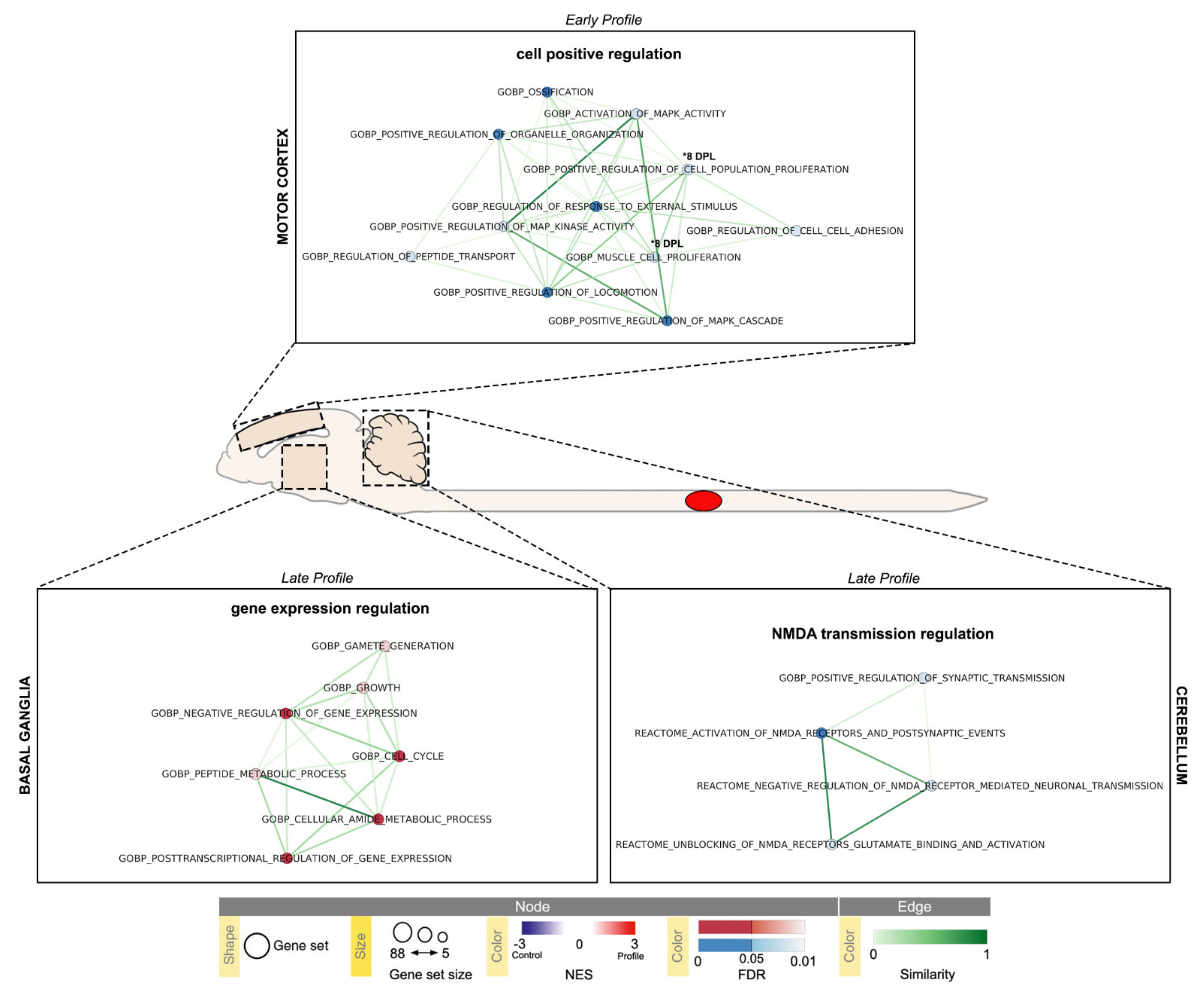 Ijms 22 08606 g007 Ijms 22 08606 g007