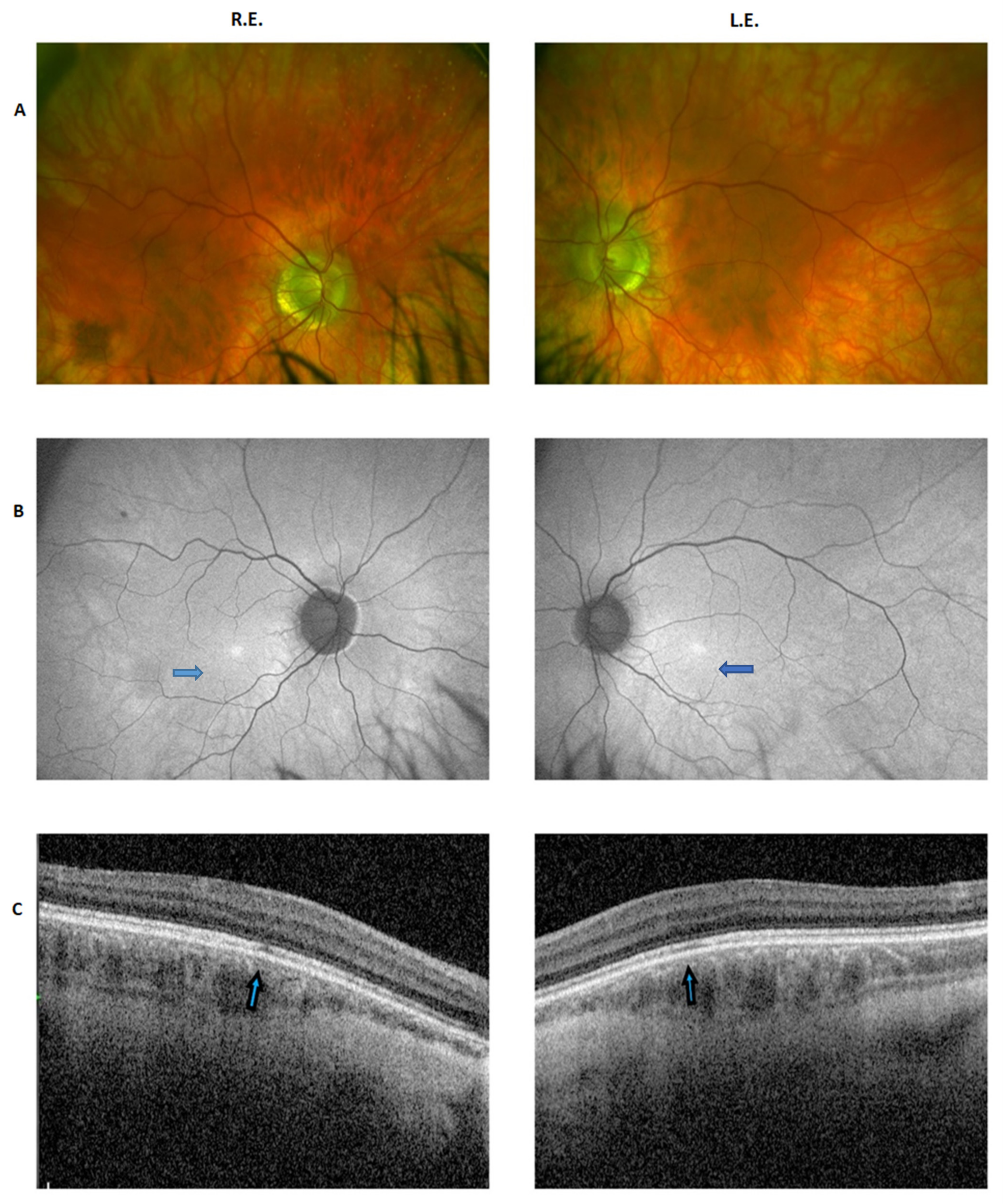 Ijms 22 08617 g001 Ijms 22 08617 g001