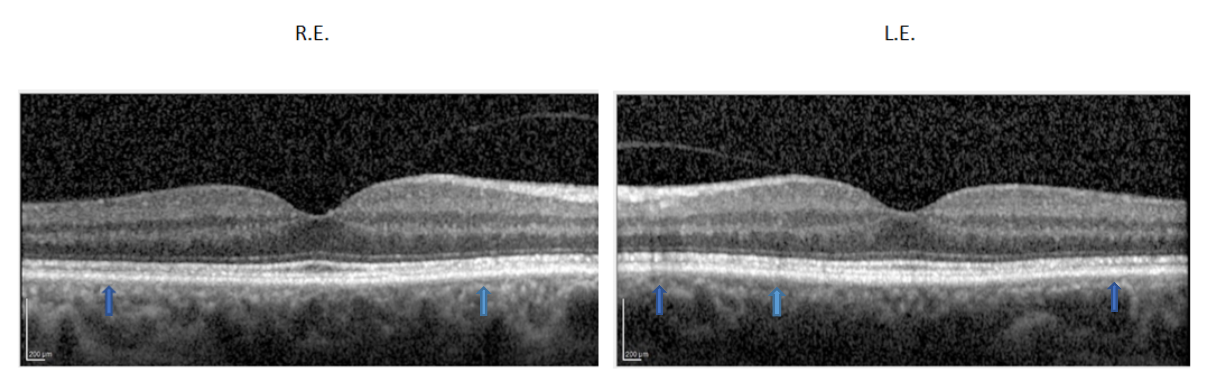 Ijms 22 08617 g004 Ijms 22 08617 g004