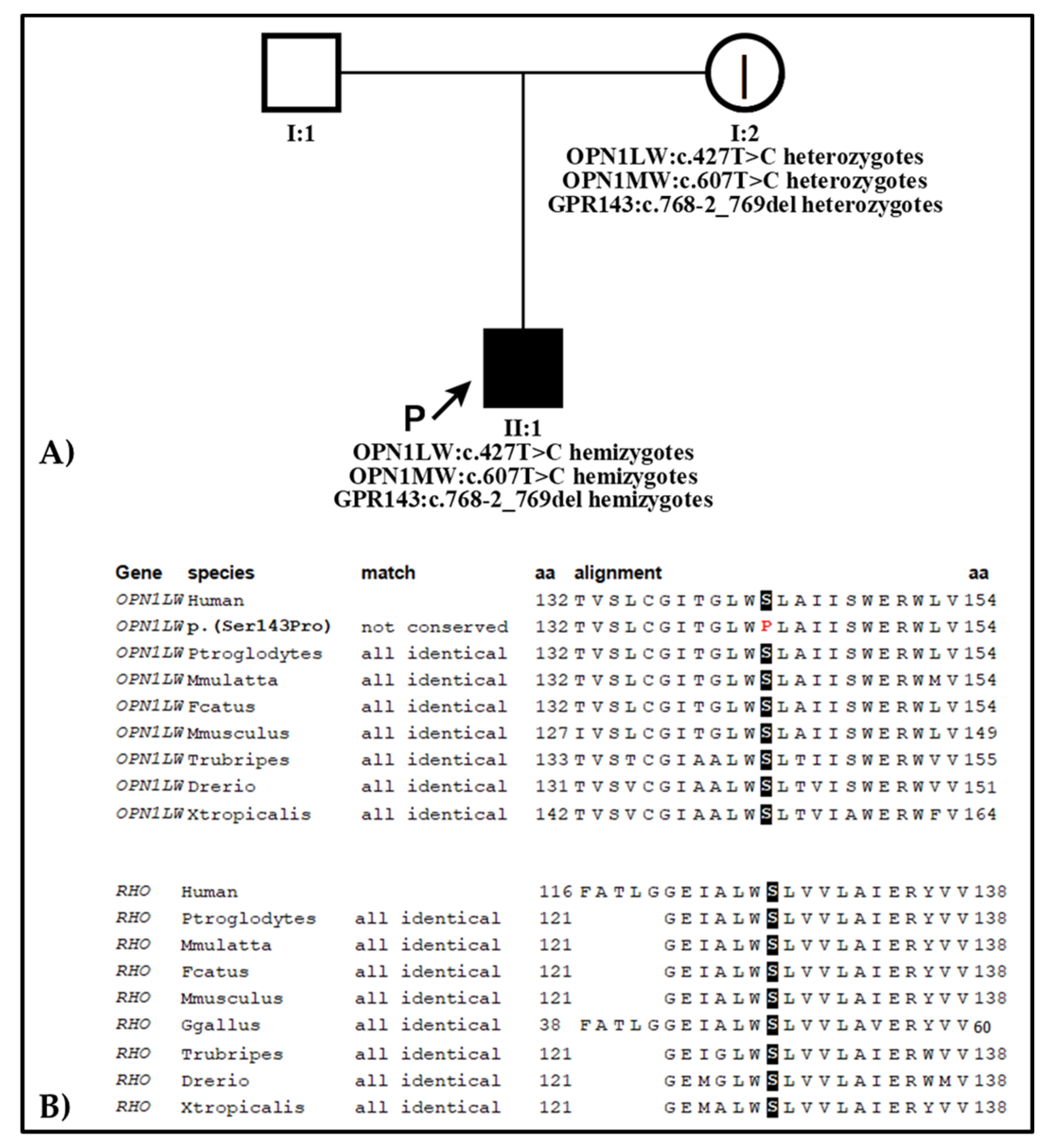 Ijms 22 08617 g007 Ijms 22 08617 g007