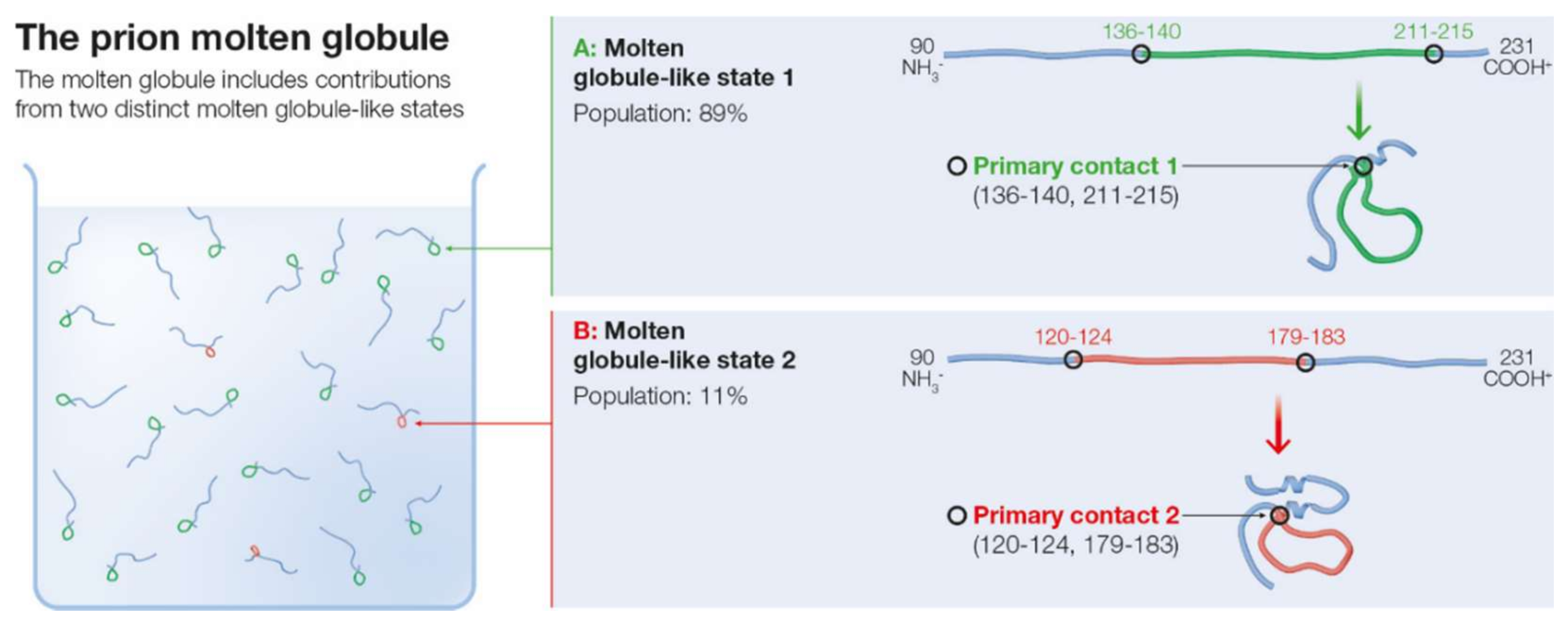 Ijms 22 08619 g002 Ijms 22 08619 g002