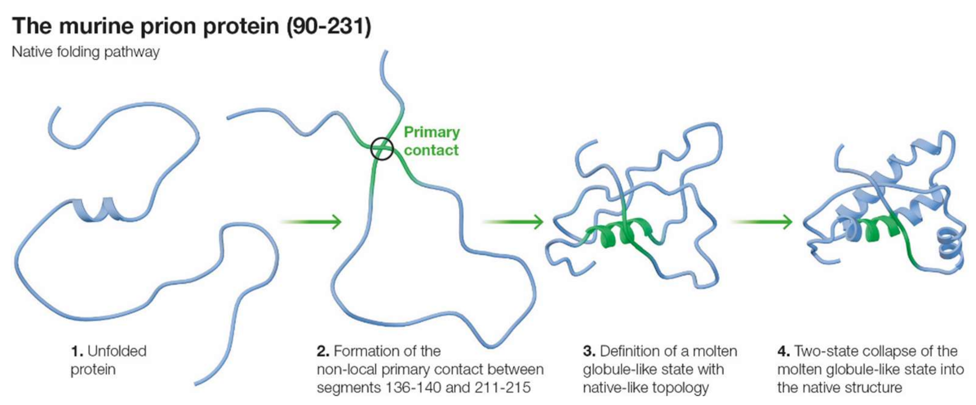 Ijms 22 08619 g003 Ijms 22 08619 g003