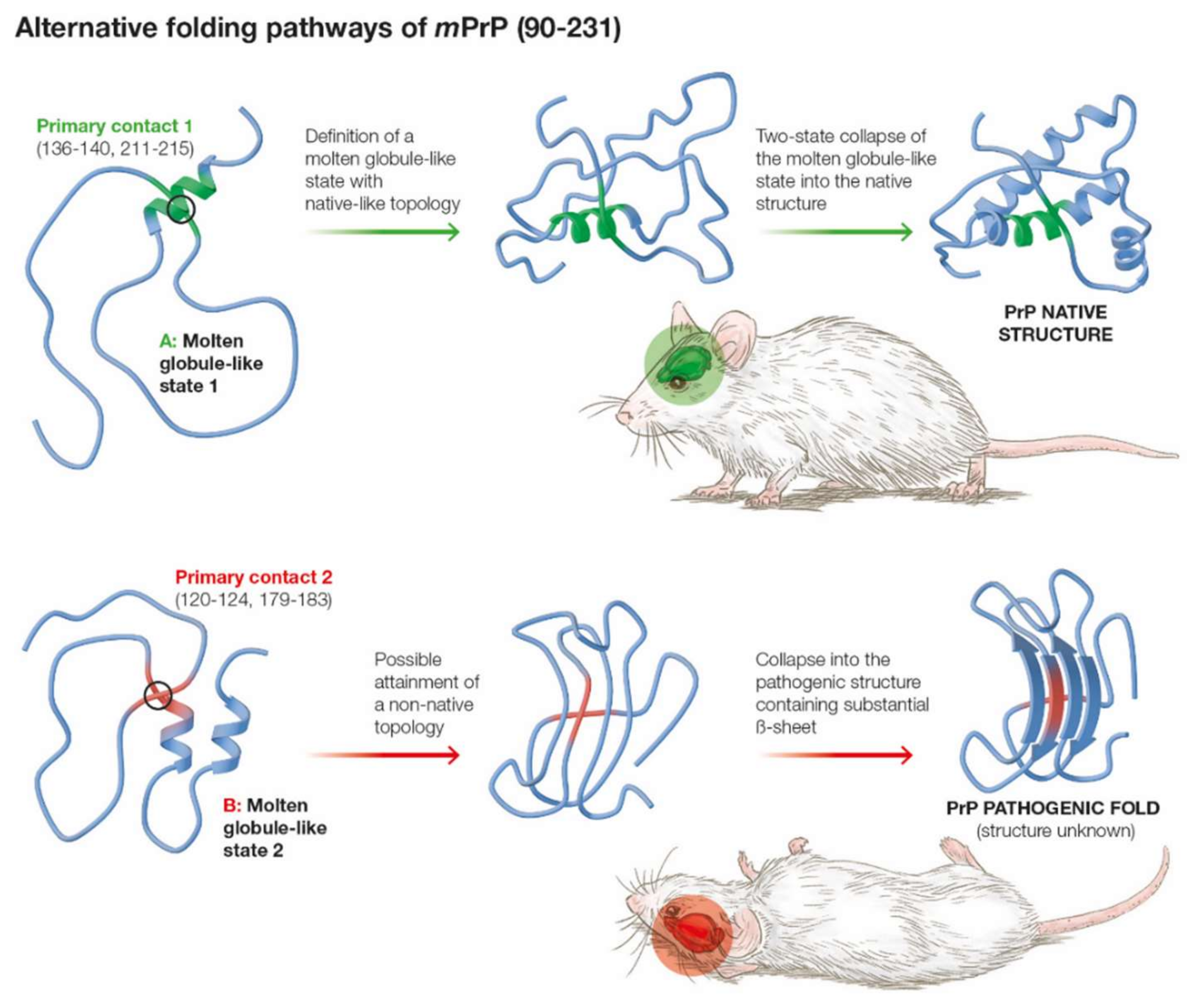 Ijms 22 08619 g004 Ijms 22 08619 g004