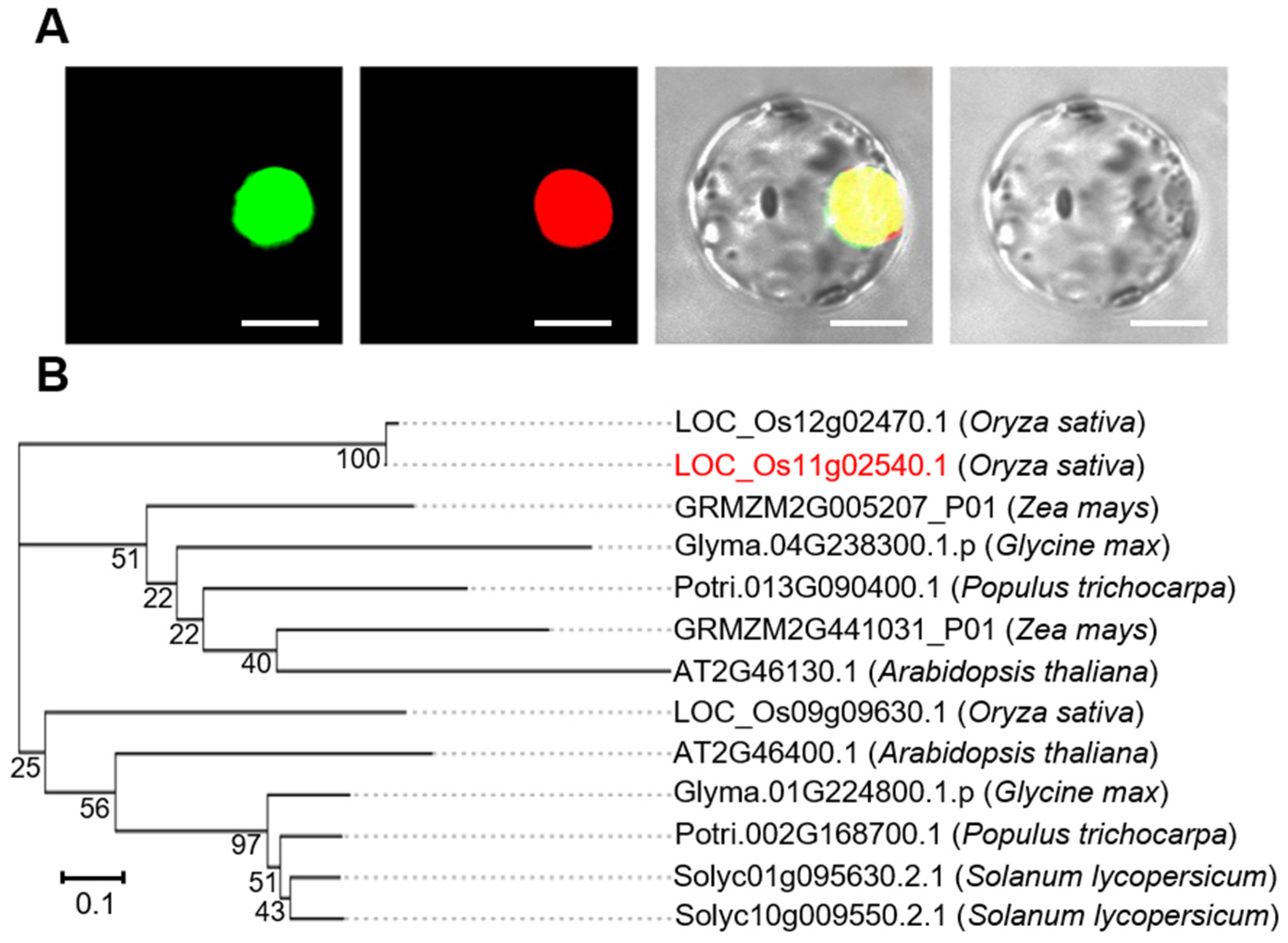 Ijms 22 08625 g002