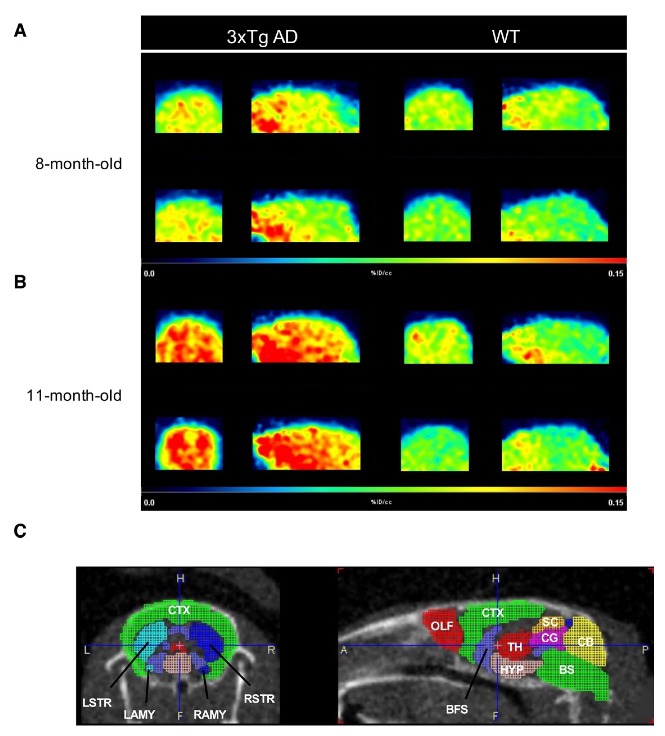 IJMS | Free Full-Text | Evaluation of Class IIa Histone Deacetylases  Expression and In Vivo Epigenetic Imaging in a Transgenic Mouse Model of  Alzheimer's Disease | HTML