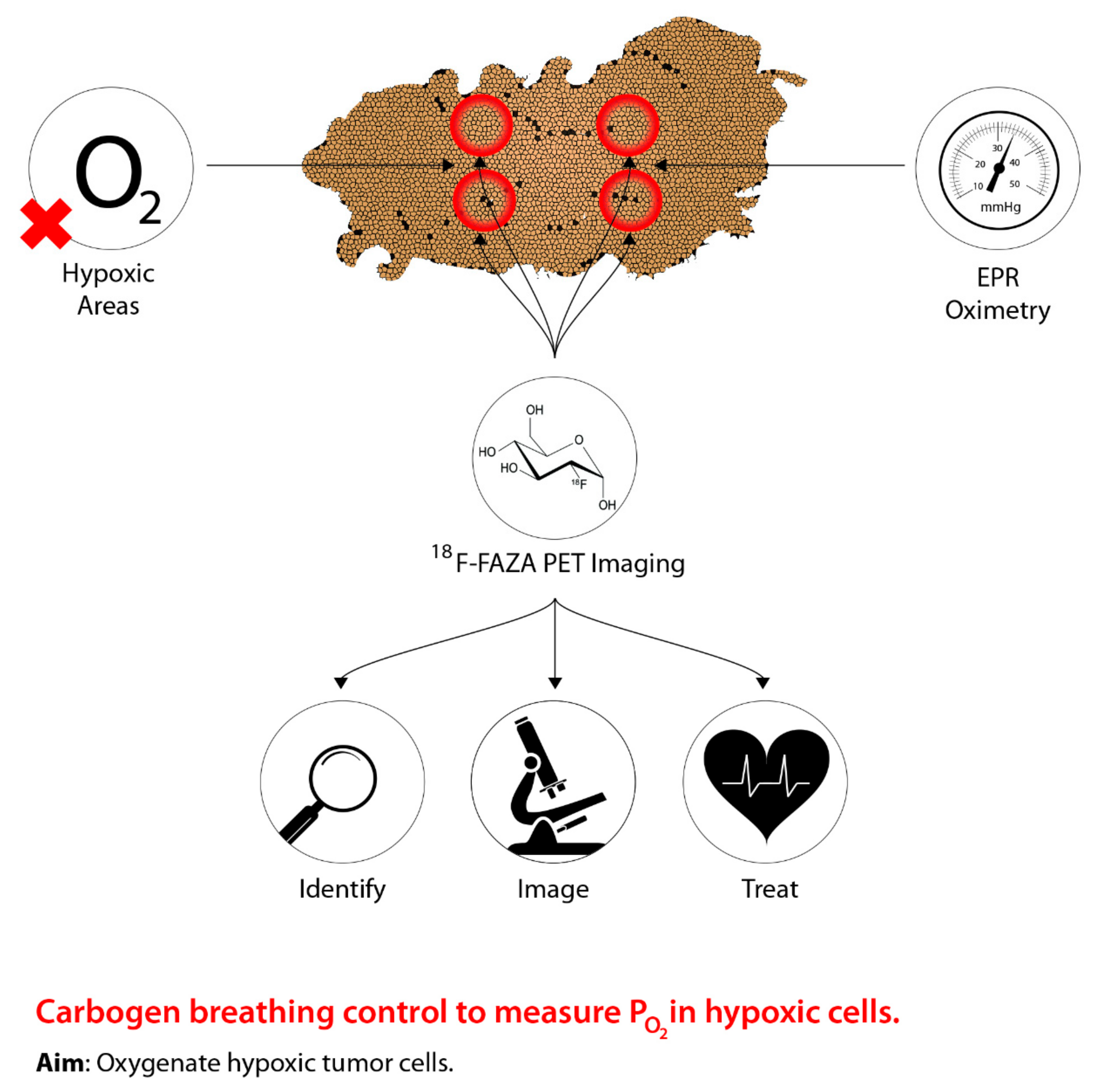 Ijms 22 08651 g002 Ijms 22 08651 g002