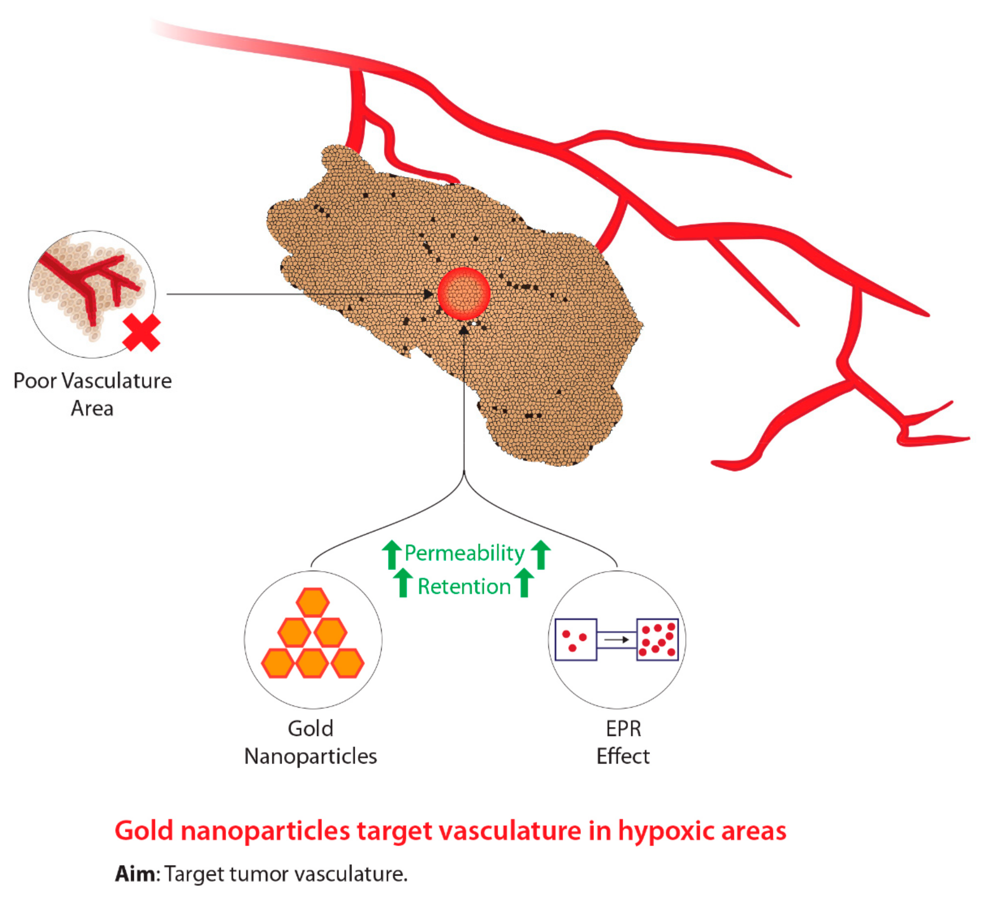 Ijms 22 08651 g003 Ijms 22 08651 g003