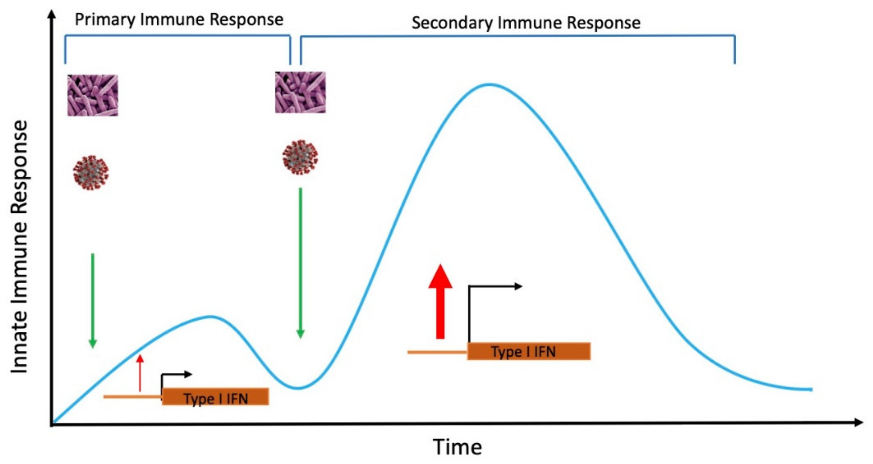 Ijms 22 08660 g003 Ijms 22 08660 g003