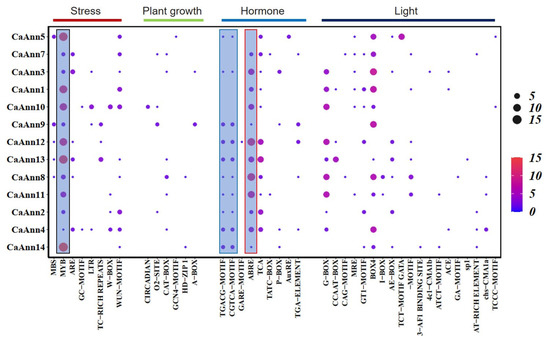 Ijms Free Full Text Genome Wide Identification And Transcriptional Expression Analysis Of Annexin Genes In Capsicum Annuum And Characterization Of Caann9 In Salt Tolerance Html