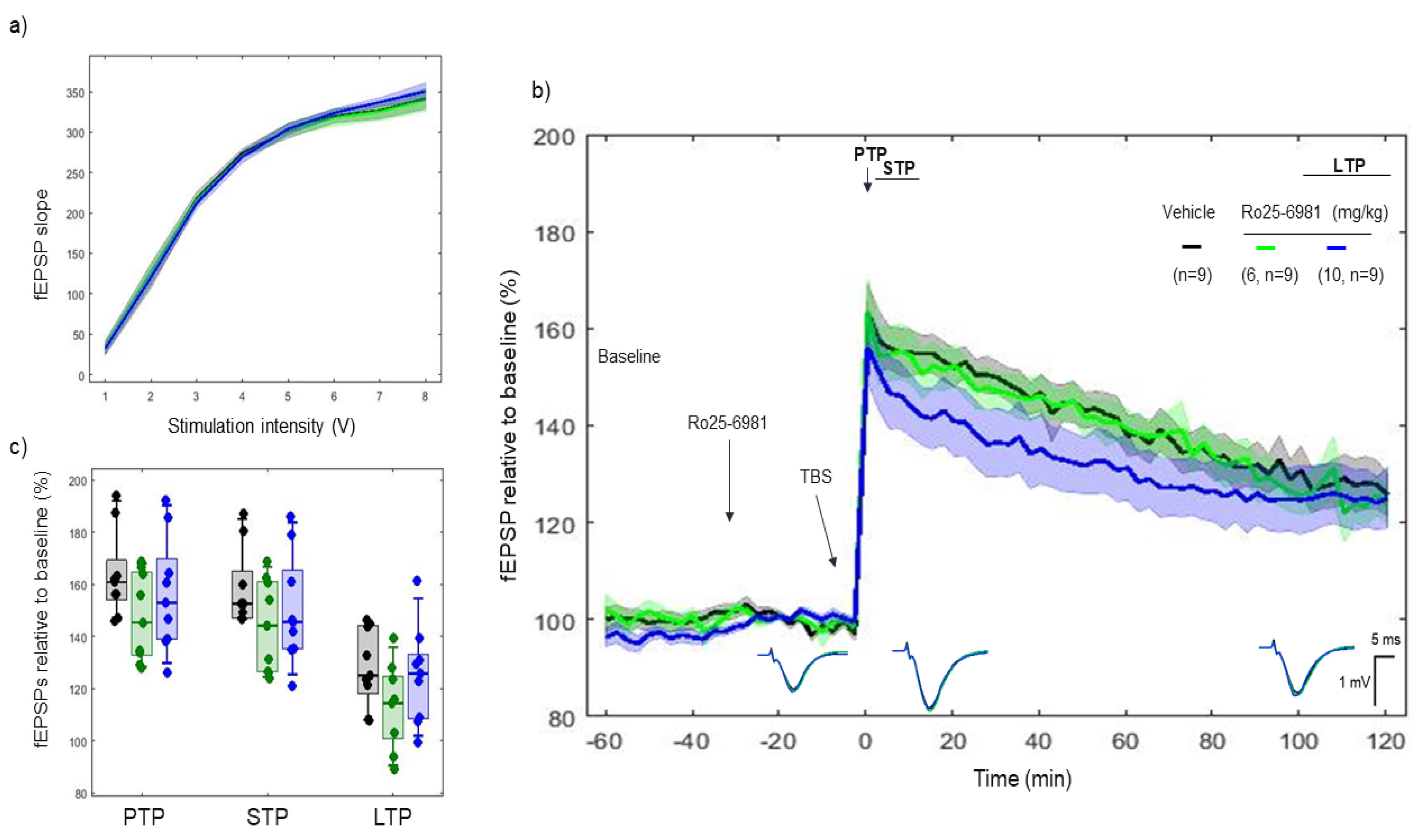 Ijms 22 08672 g004 Ijms 22 08672 g004