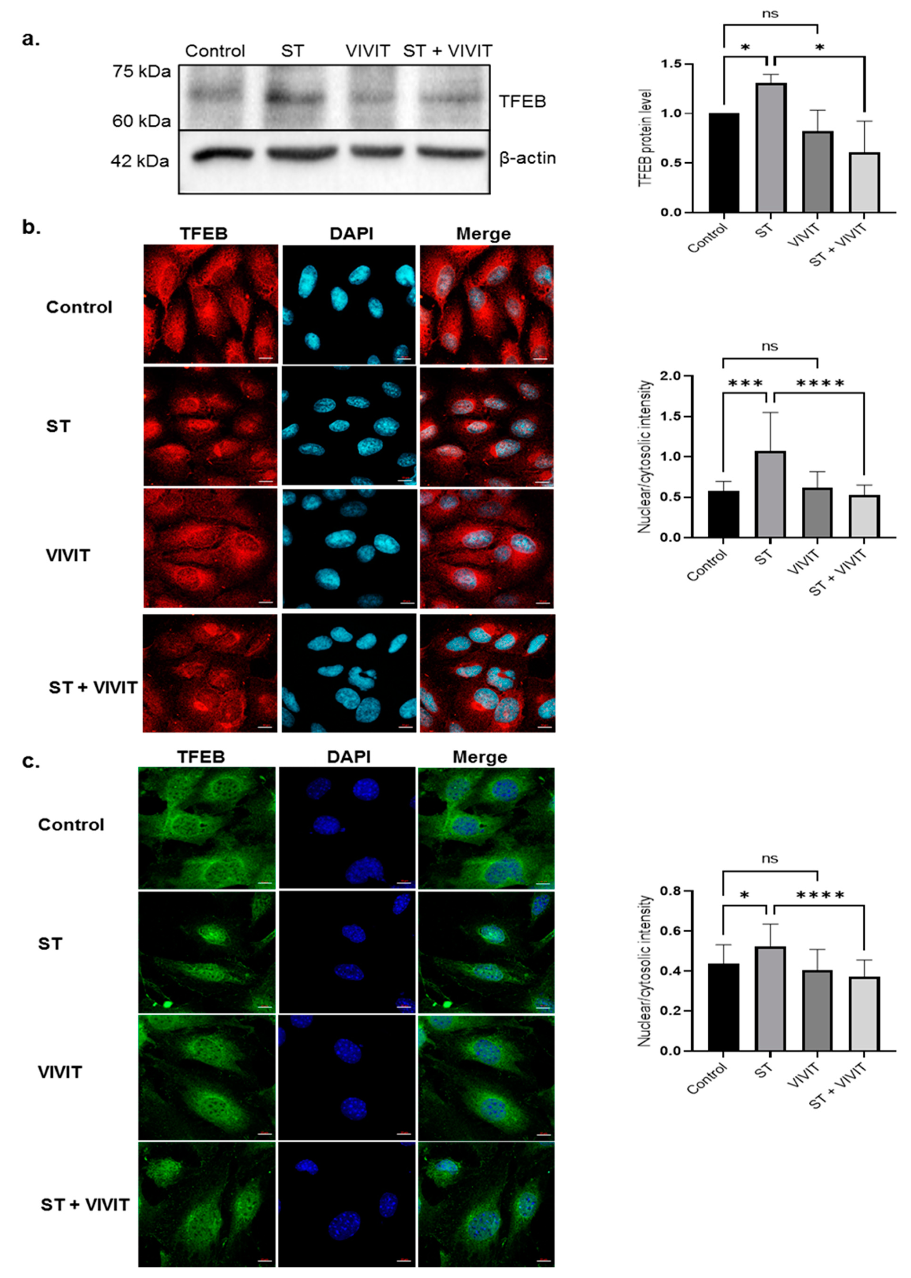 Ijms 22 08684 g003 Ijms 22 08684 g003
