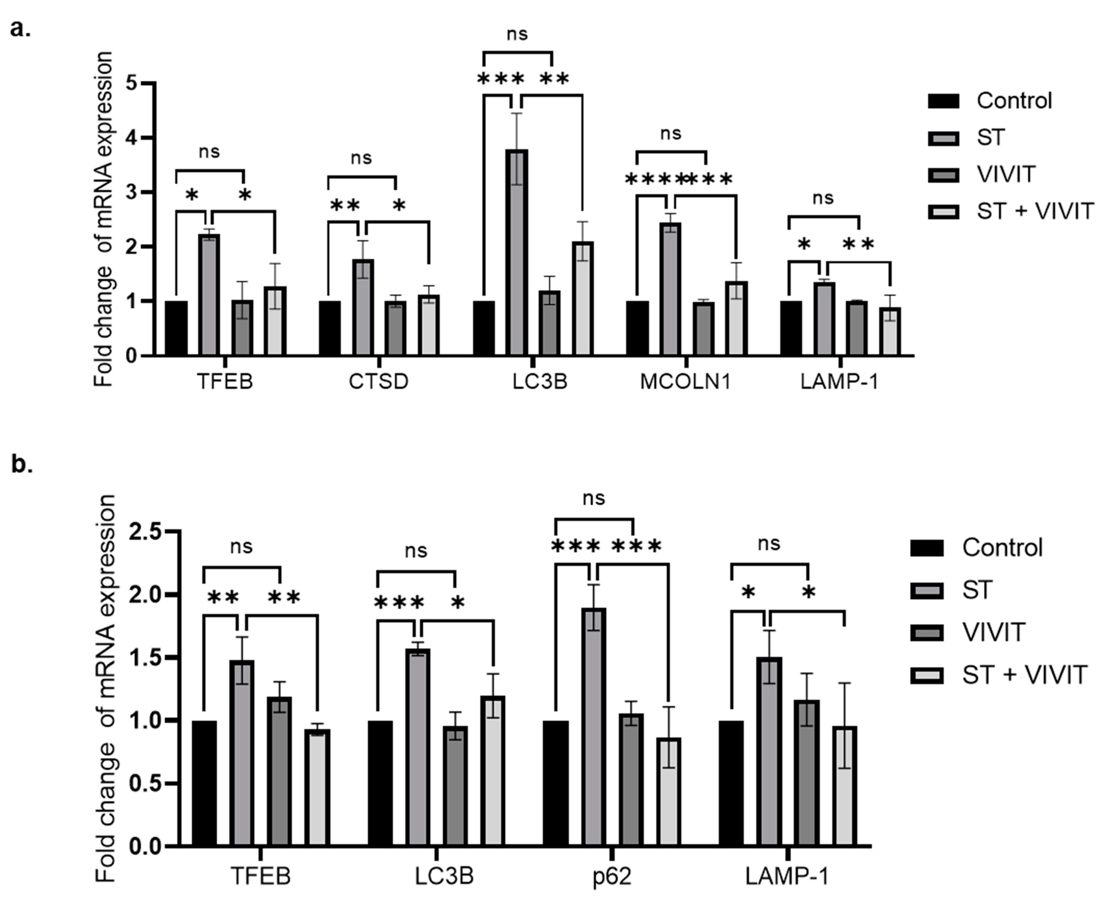Ijms 22 08684 g004 Ijms 22 08684 g004