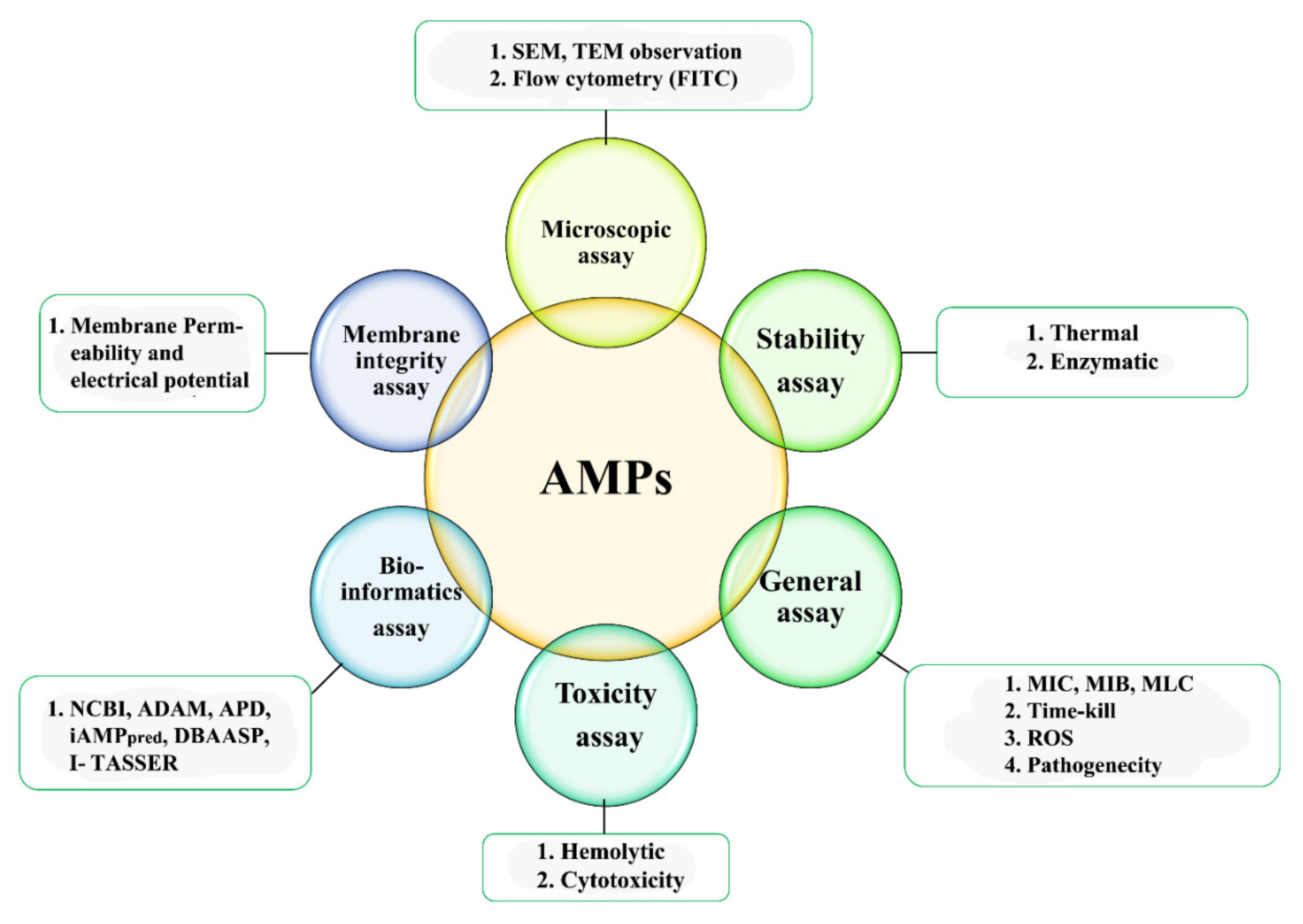 Ijms 22 08712 g003 Ijms 22 08712 g003