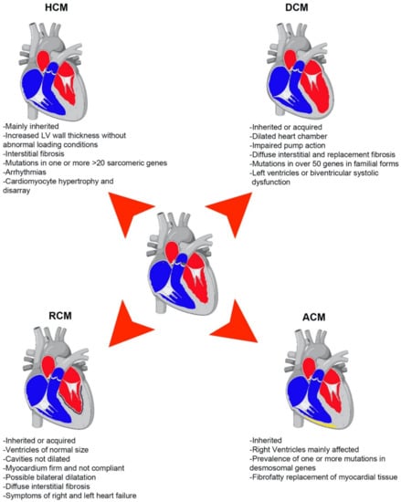 IJMS | Free Full-Text | The Emerging Role of Epigenetics in Therapeutic ...