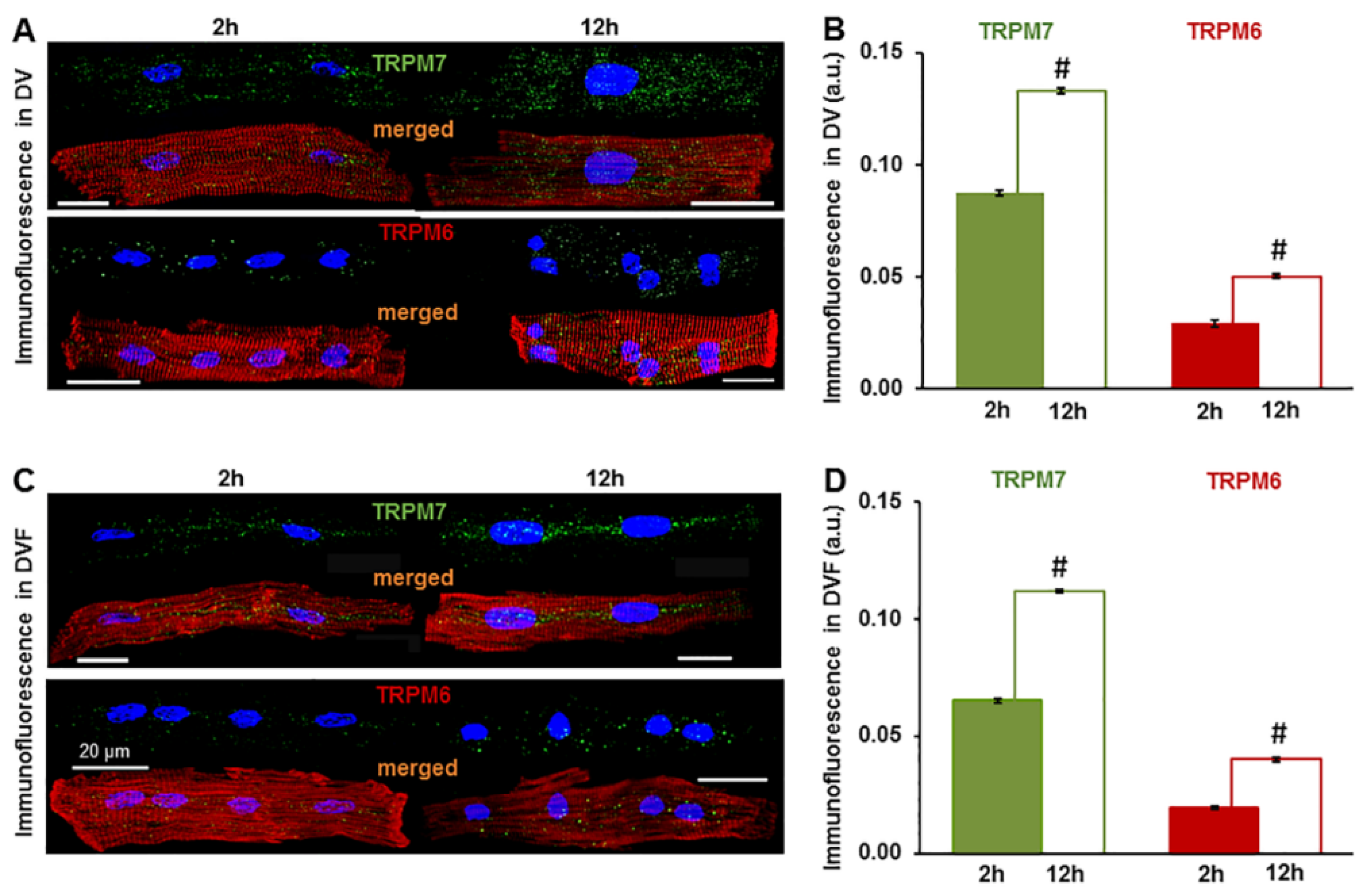 Ijms 22 08744 g002 Ijms 22 08744 g002