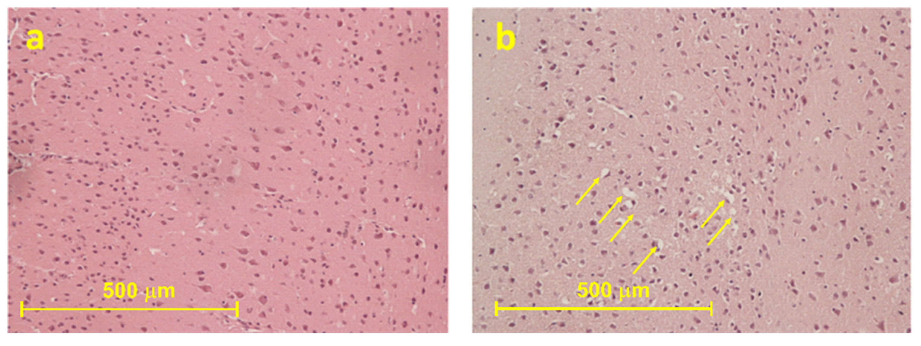 Ijms 22 08771 g002 Ijms 22 08771 g002