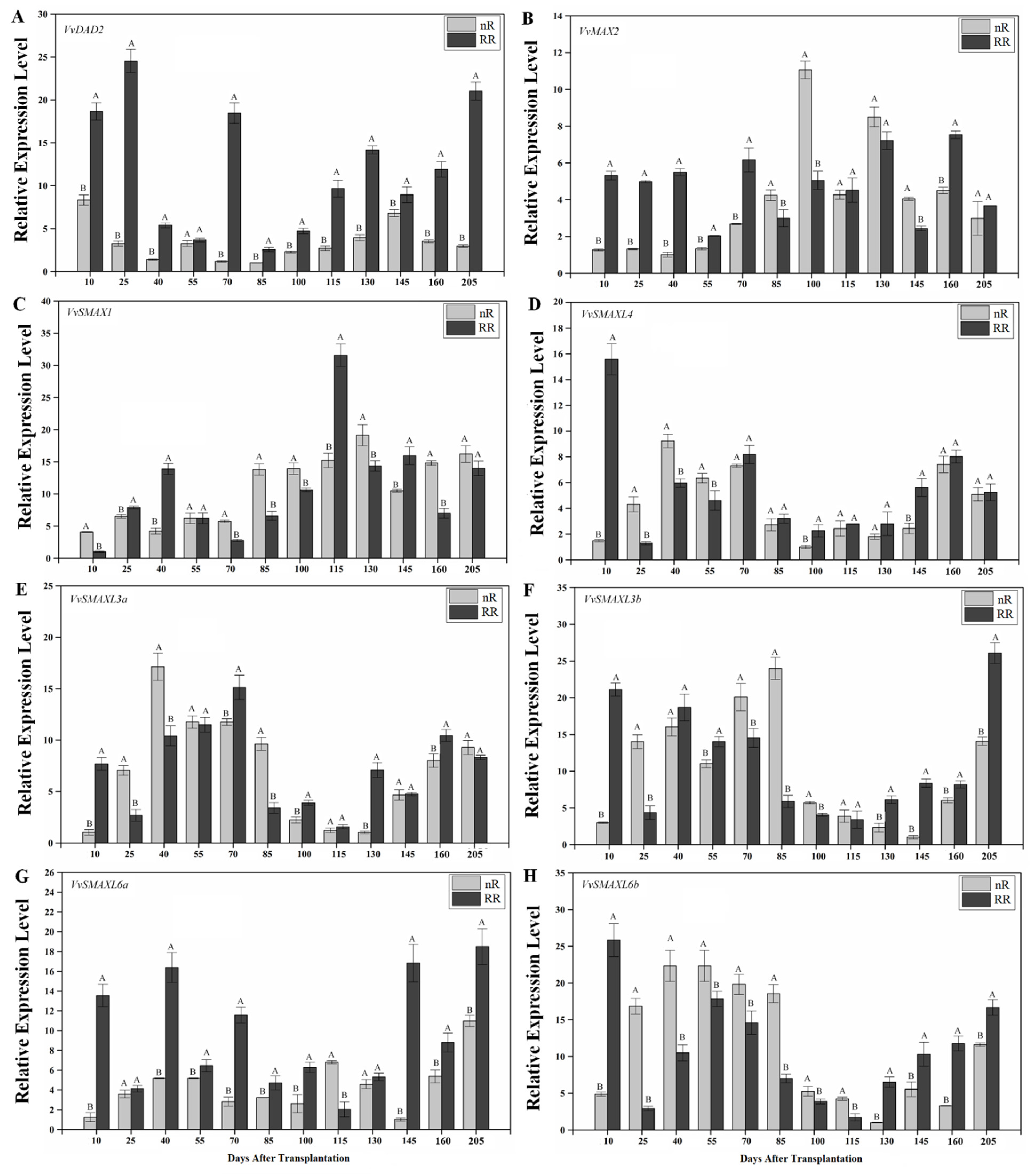 Ijms 22 08799 g005 Ijms 22 08799 g005