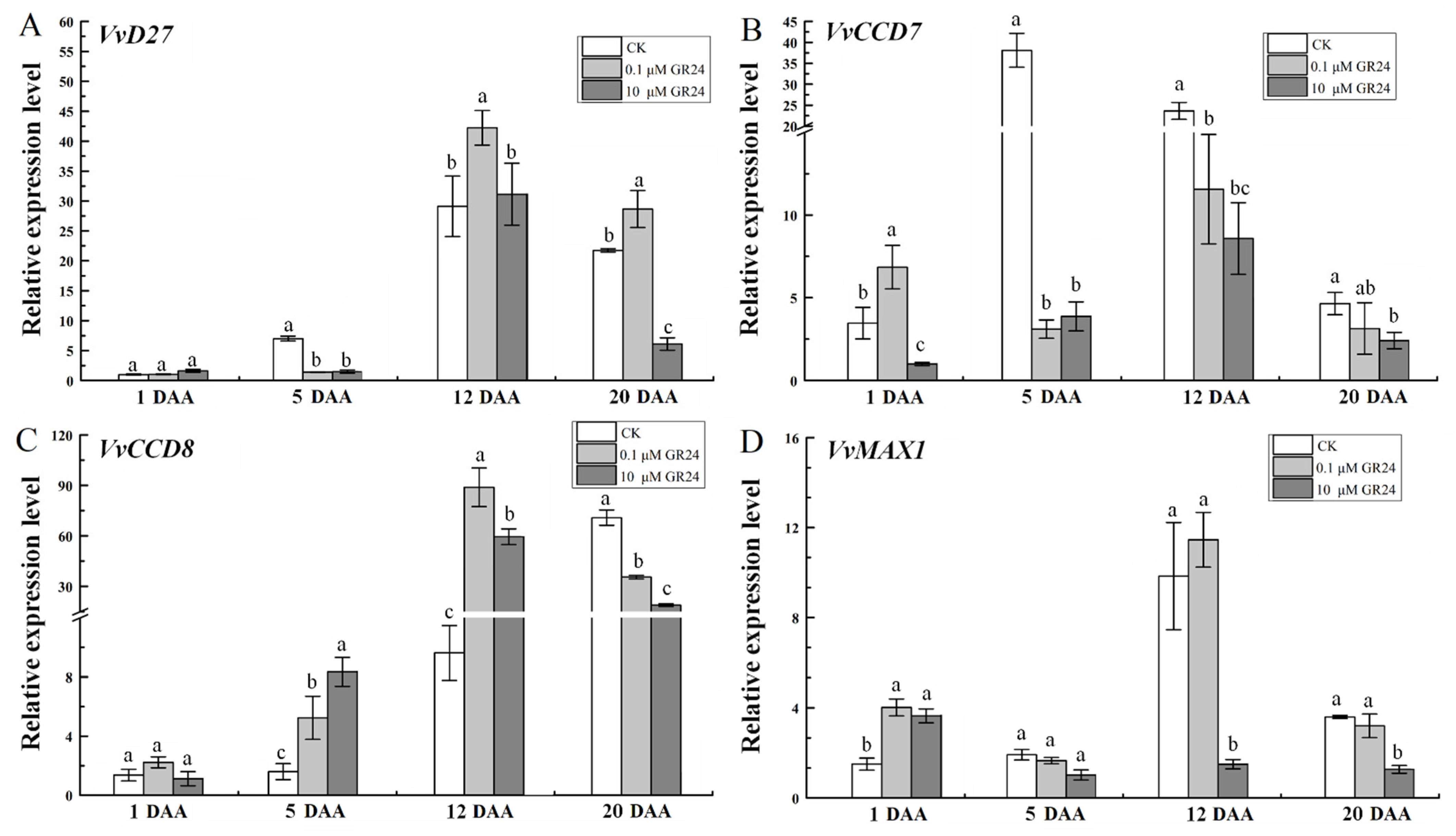 Ijms 22 08799 g008 Ijms 22 08799 g008