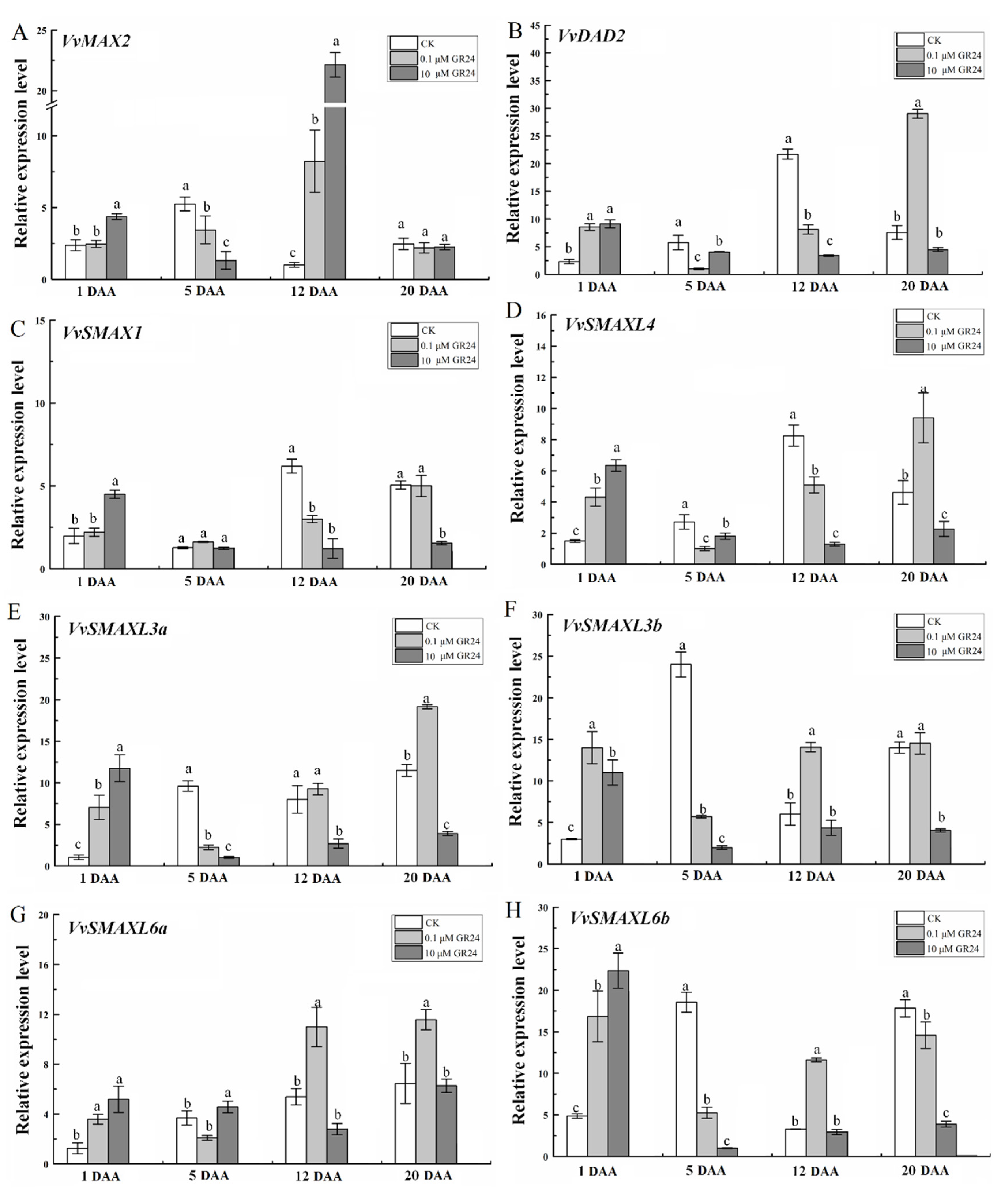Ijms 22 08799 g009 Ijms 22 08799 g009