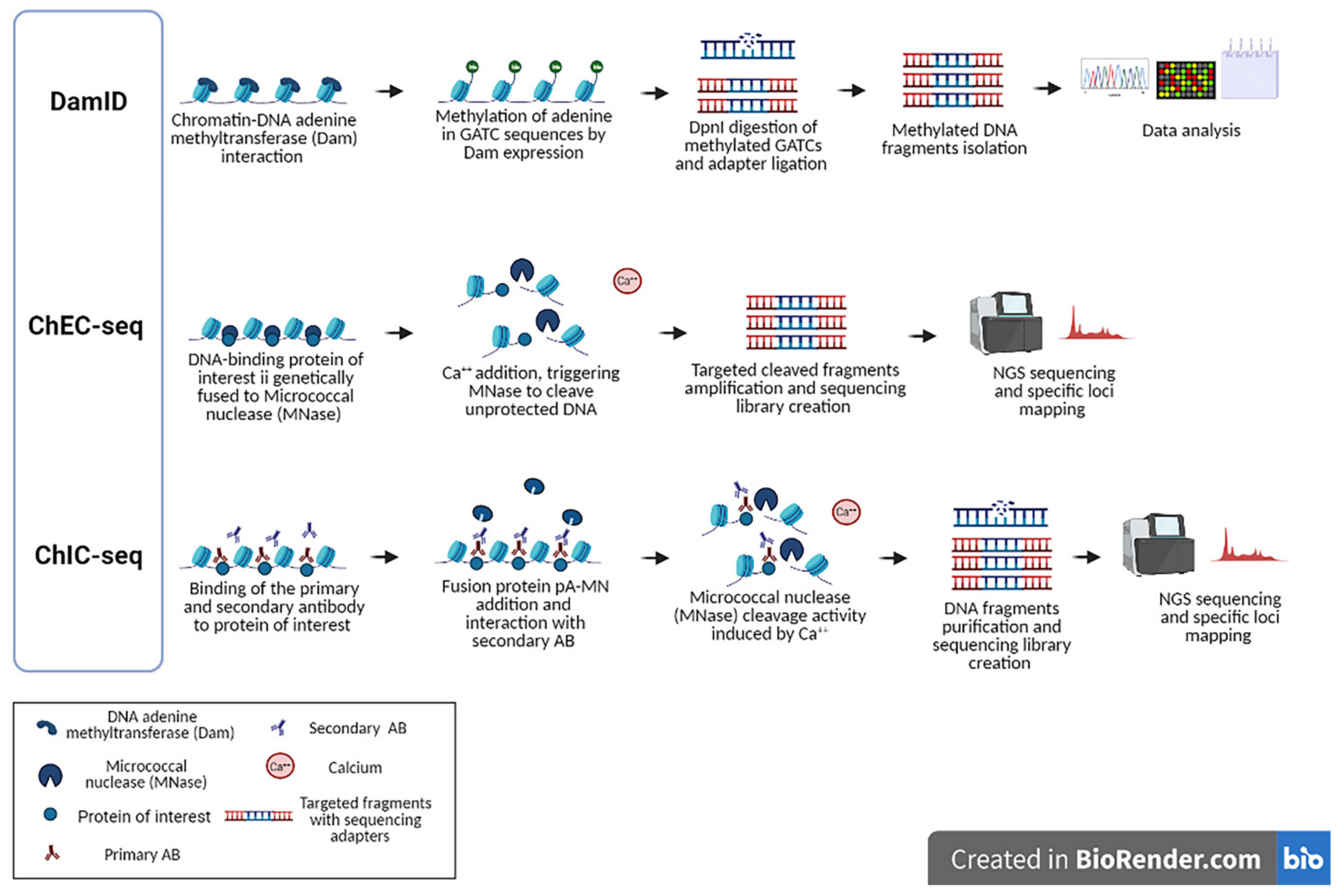 Ijms 22 08809 g003 Ijms 22 08809 g003