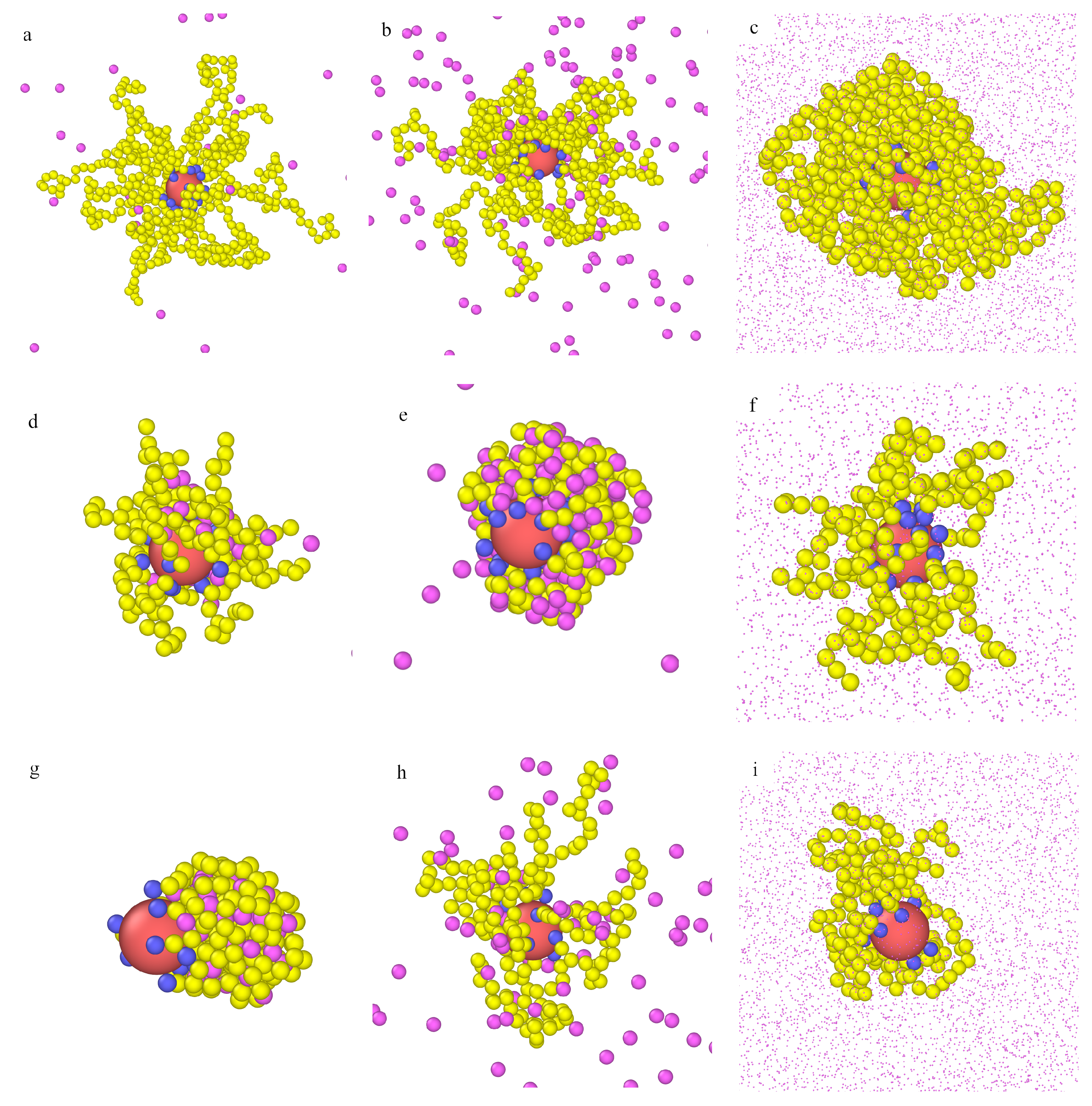 Ijms 22 08810 g004 Ijms 22 08810 g004